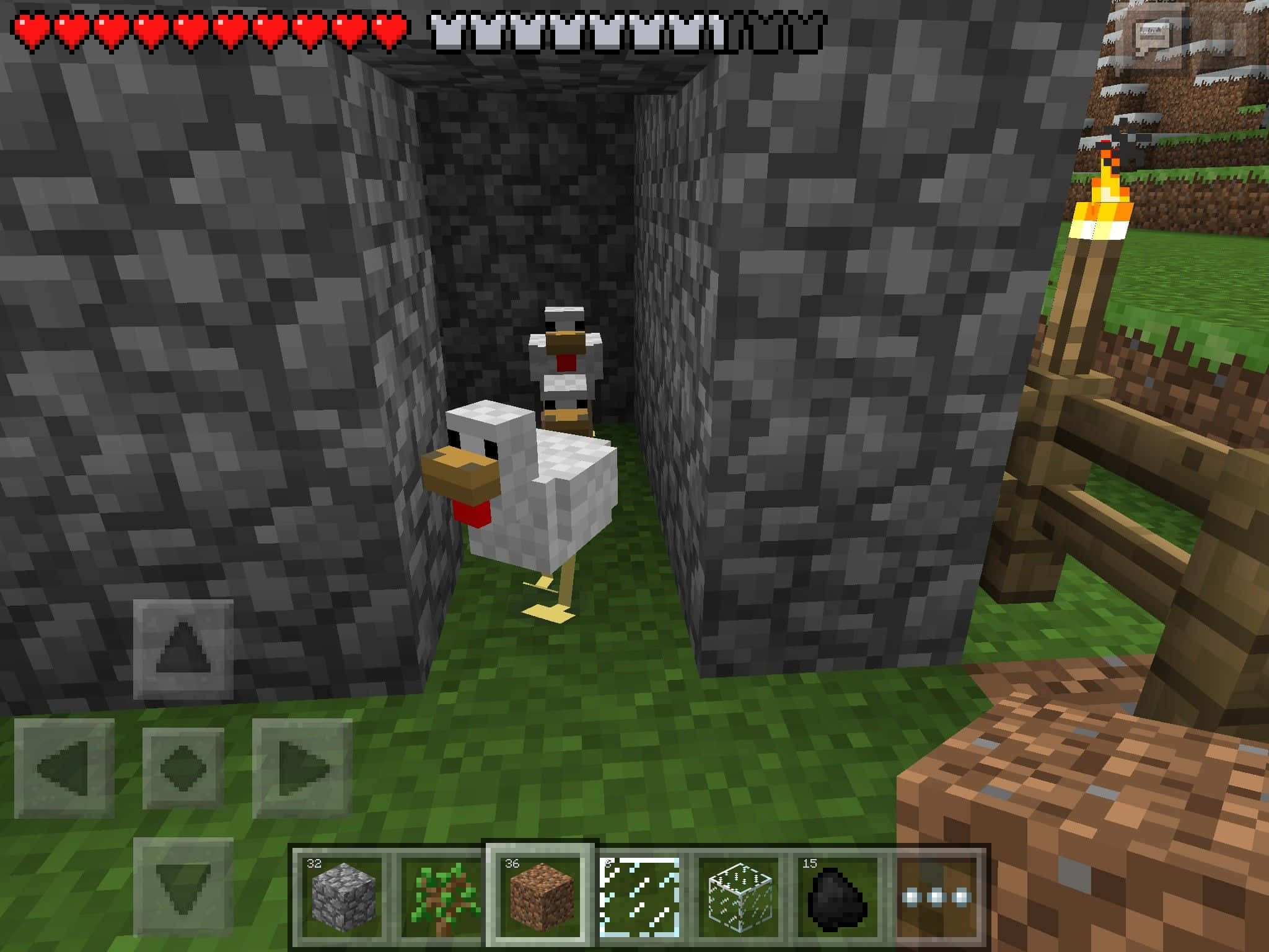 Minecraft Pocket Edition 桌布 壁紙 — 一隻像素雞站在石頭隧道中，旁邊有火炬和木柵欄，是Minecraft遊戲場景。