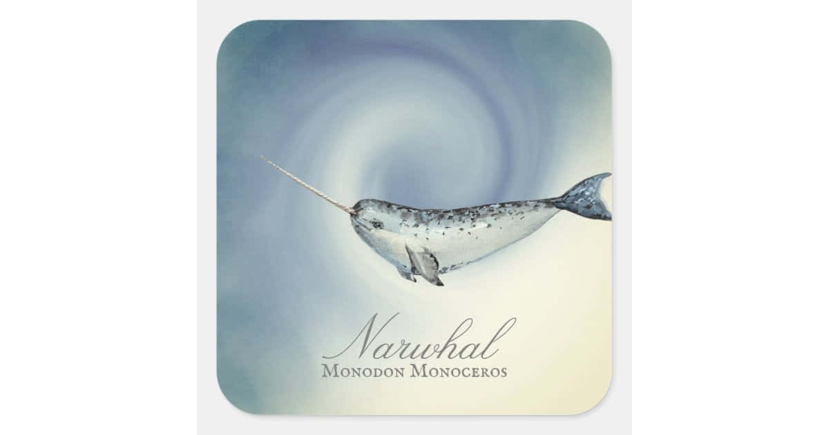 Narwhal 桌布 壁紙 — 一隻優雅的獨角鯨，長有長長的獠牙，在旋轉的藍色和奶油色漩渦中游動，並標有其學名。