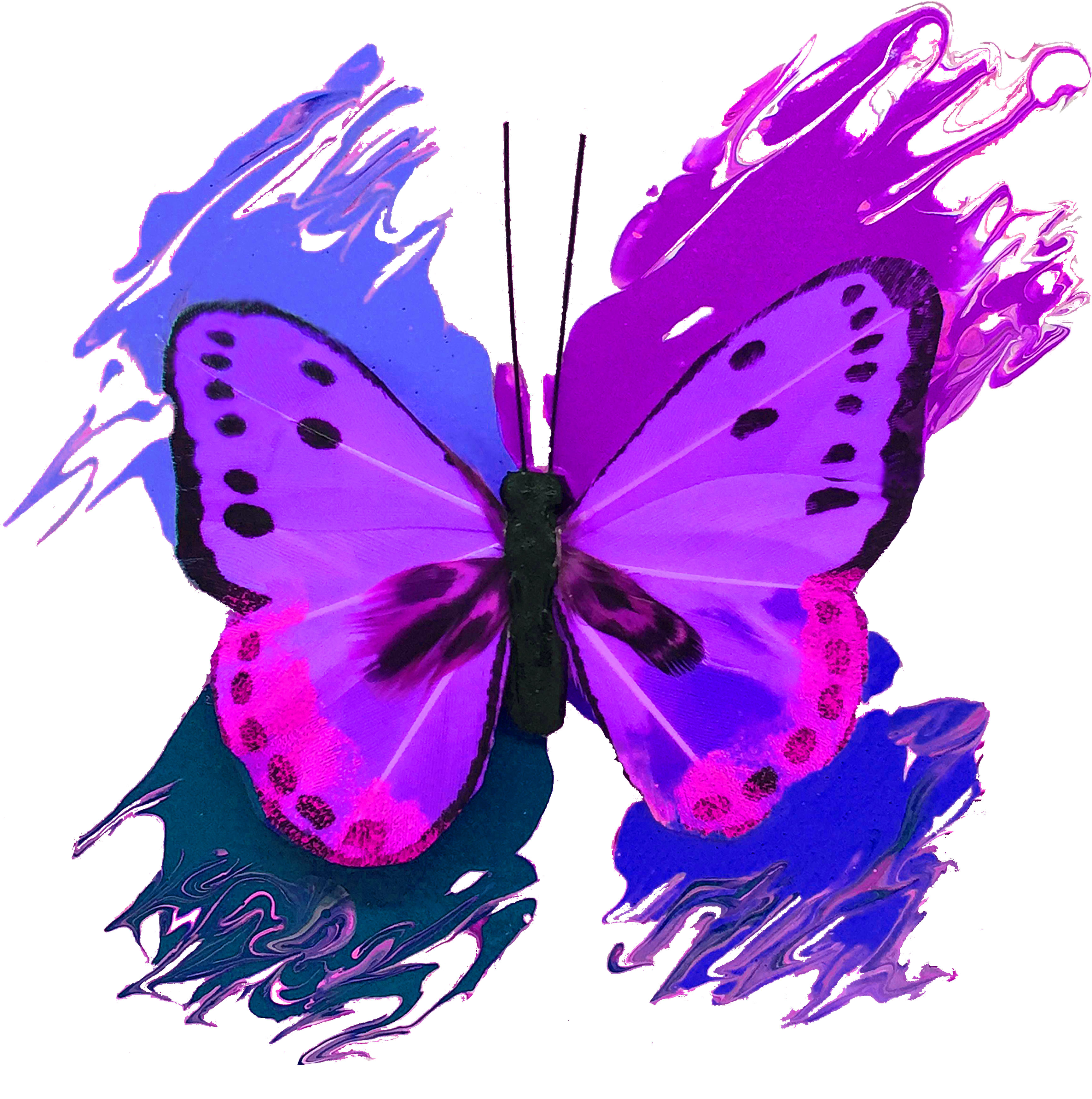 Butterfly Transparent 桌布 壁紙 — 一隻充滿活力的數位蝴蝶，帶有紫色、粉紅色和藍色的翅膀，背景為黑色。