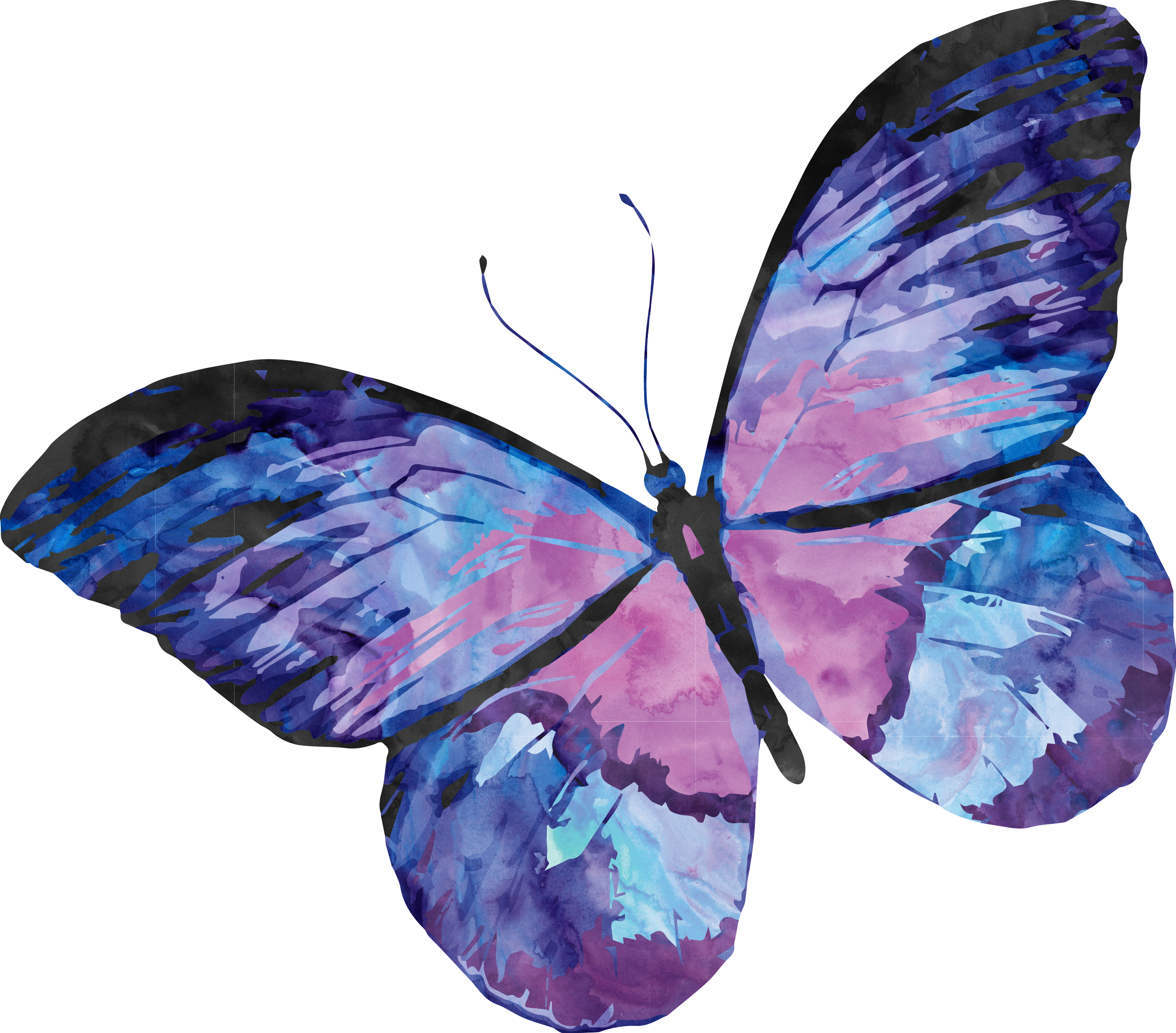 Butterfly Wings 桌布 壁紙 — 一隻充滿活力的水彩蝴蝶，帶有紫色、粉紅色和藍色的翅膀，襯托在純白色背景上。