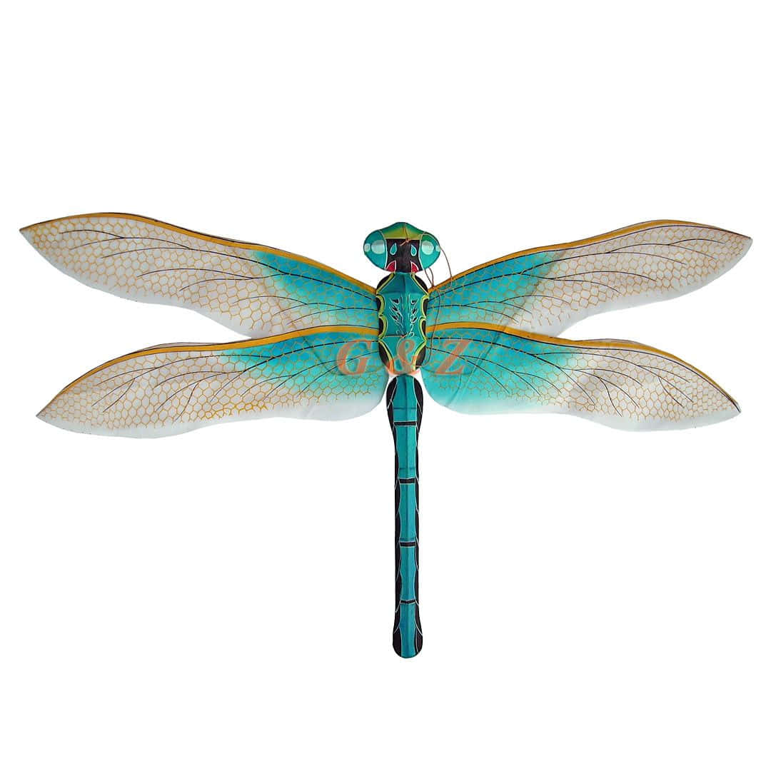 Blue Dragonfly 桌布 壁紙 — 一隻充滿活力的綠松色蜻蜓，帶有精細的翅膀和分節的身體，背景為純白色。