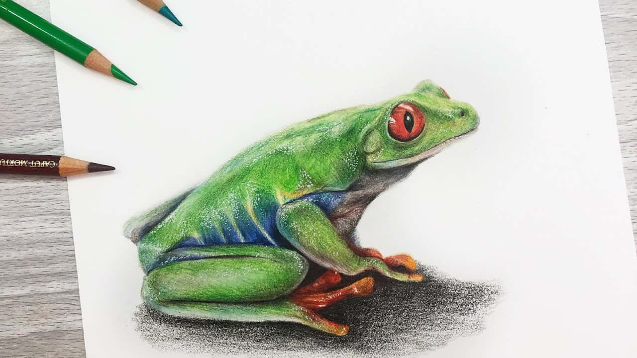 Frog Drawing 桌布 壁紙 — 一隻充滿活力的綠色樹蛙，有著引人注目的紅色眼睛，坐在被彩色鉛筆包圍的紙上。