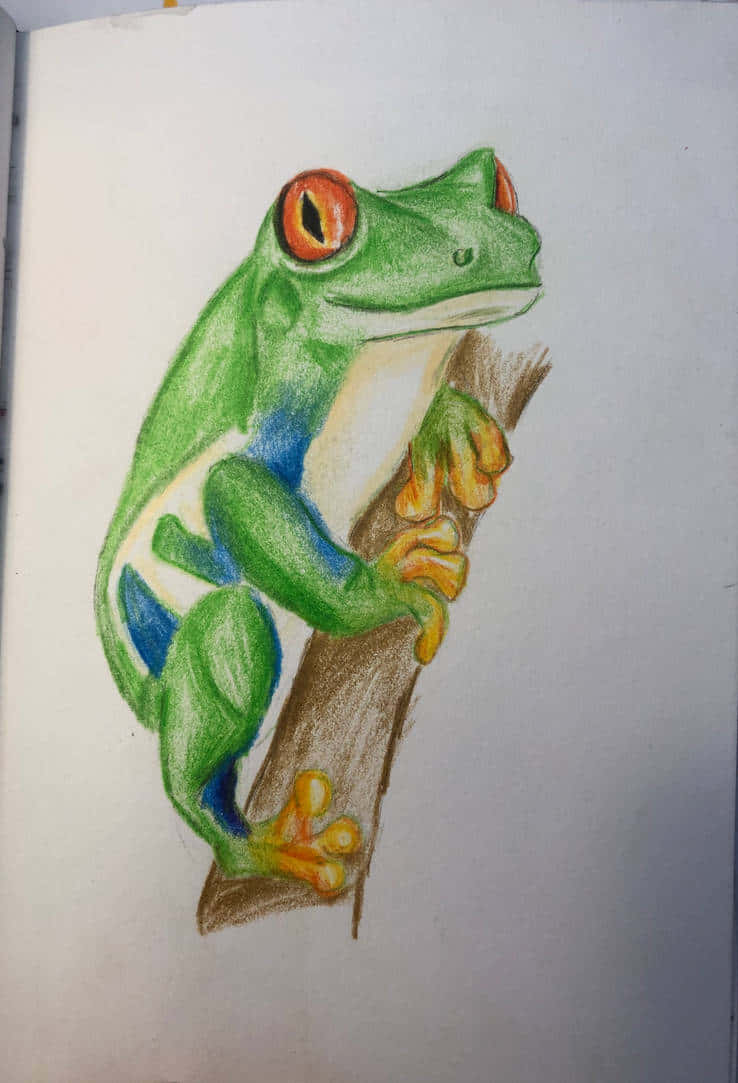 Frog Drawing 桌布 壁紙 — 一隻充滿活力的綠色樹蛙，有著引人注目的紅色眼睛，緊緊抓住一根棕色樹枝，這是一幅詳細的彩色鉛筆畫。