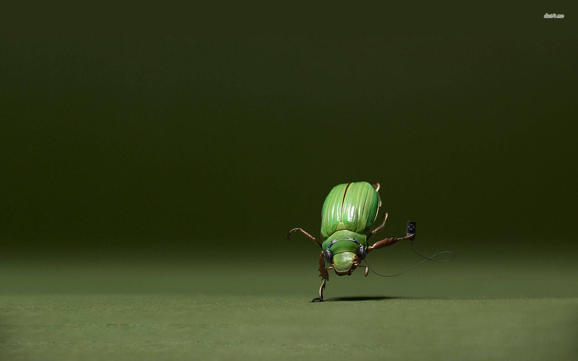 Insect 桌布 壁紙 — 一隻充滿活力的綠色甲蟲戴著細小耳機，自信地走過簡約的綠色表面。