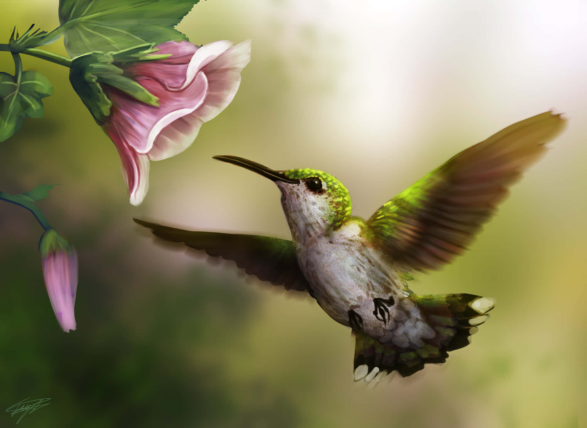 Female Hummingbird 桌布 壁紙 — 一隻充滿活力的綠色蜂鳥在半空中盤旋，翅膀因運動而模糊，正接近一朵柔和的粉紅色喇叭花，背景是夢幻般的綠色。