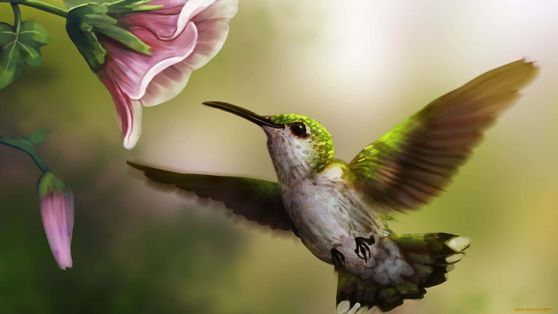 蜂鳥 桌布 壁紙 — 一隻充滿活力的綠色蜂鳥在柔和的粉紅色花朵附近盤旋，背景是模糊的自然景色。
