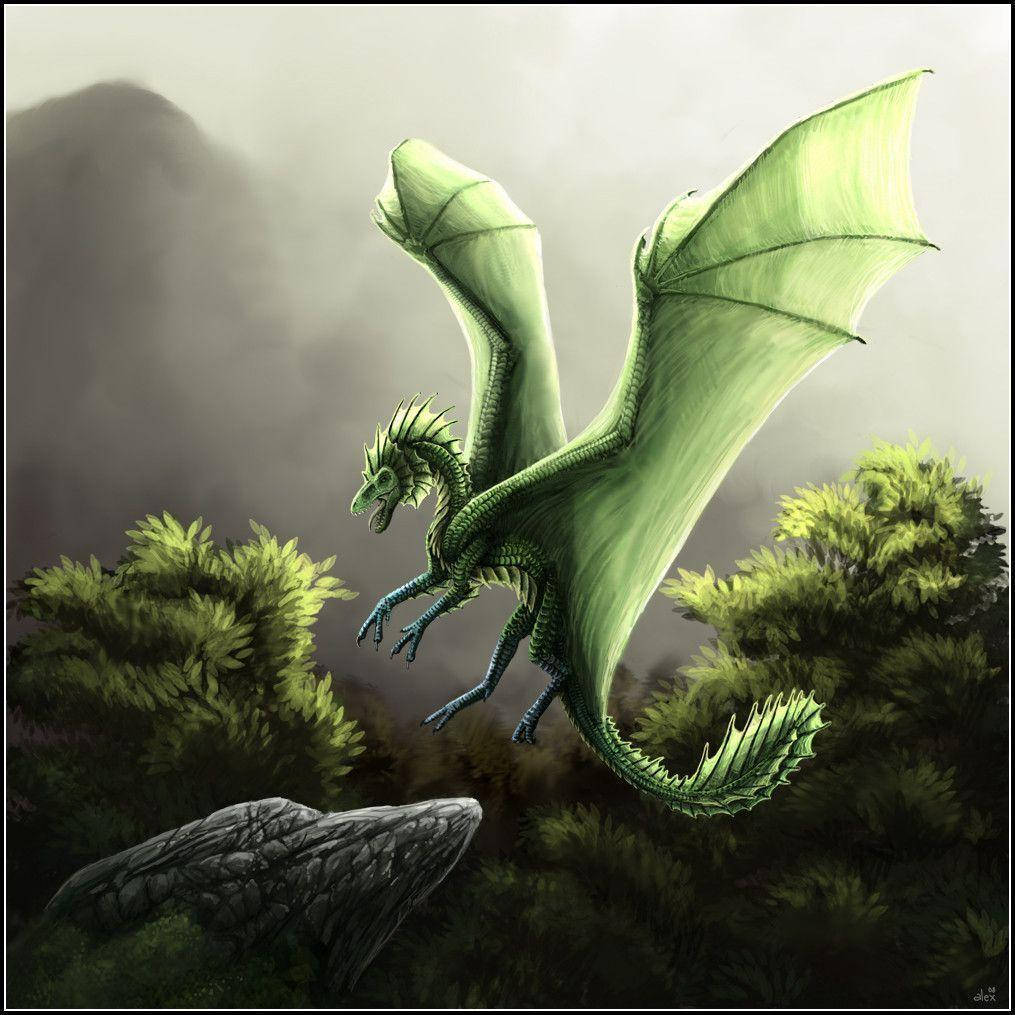 Earth Dragon 桌布 壁紙 — 一隻充滿活力的綠色龍，擁有膜狀翅膀，在霧氣籠罩的森林樹葉和深色岩石上空翱翔。