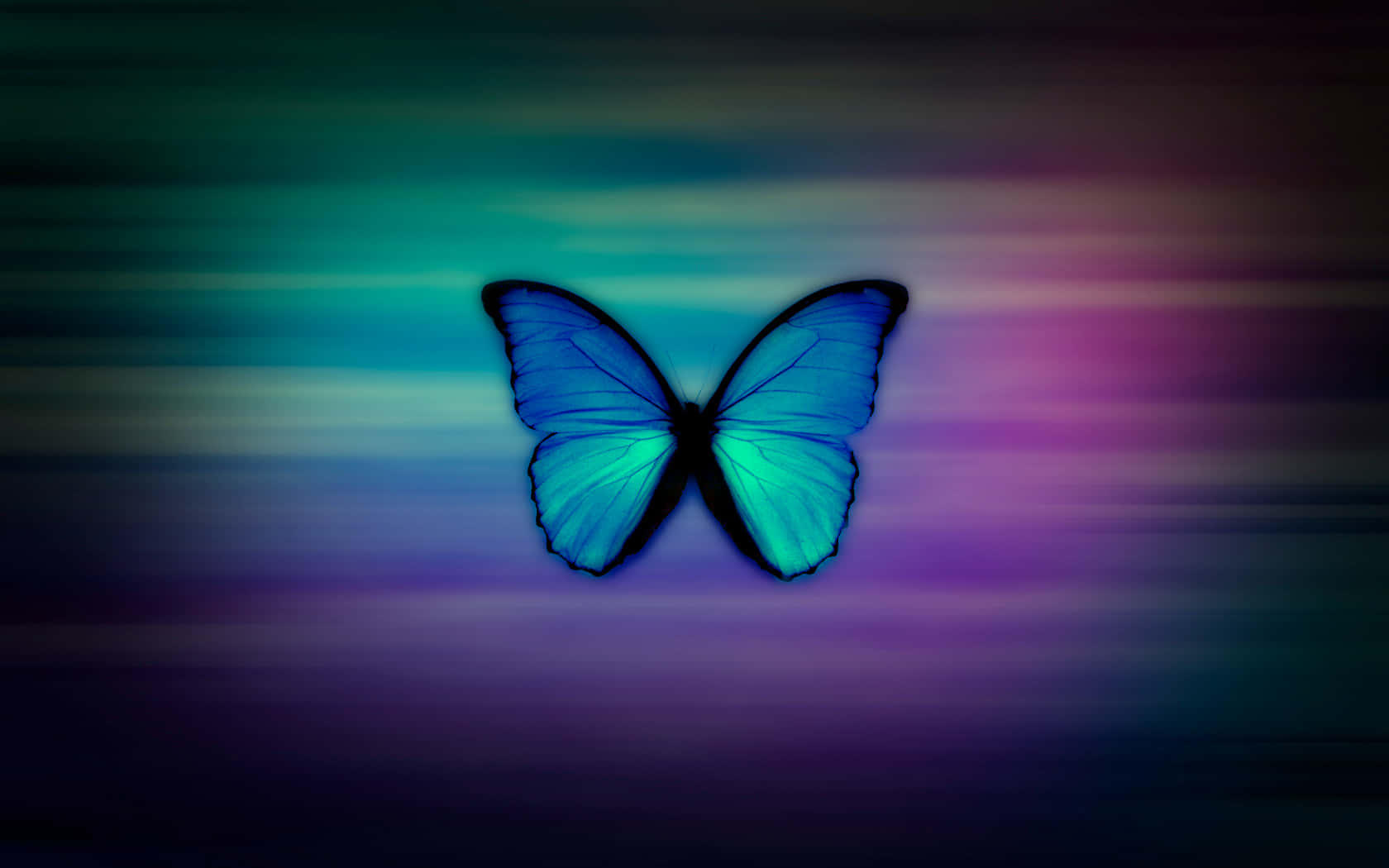 Butterfly Art 桌布 壁紙 — 一隻充滿活力的藍色蝴蝶，翅膀發光，在藍綠色、紫色和洋紅色的模糊漸變中盤旋。