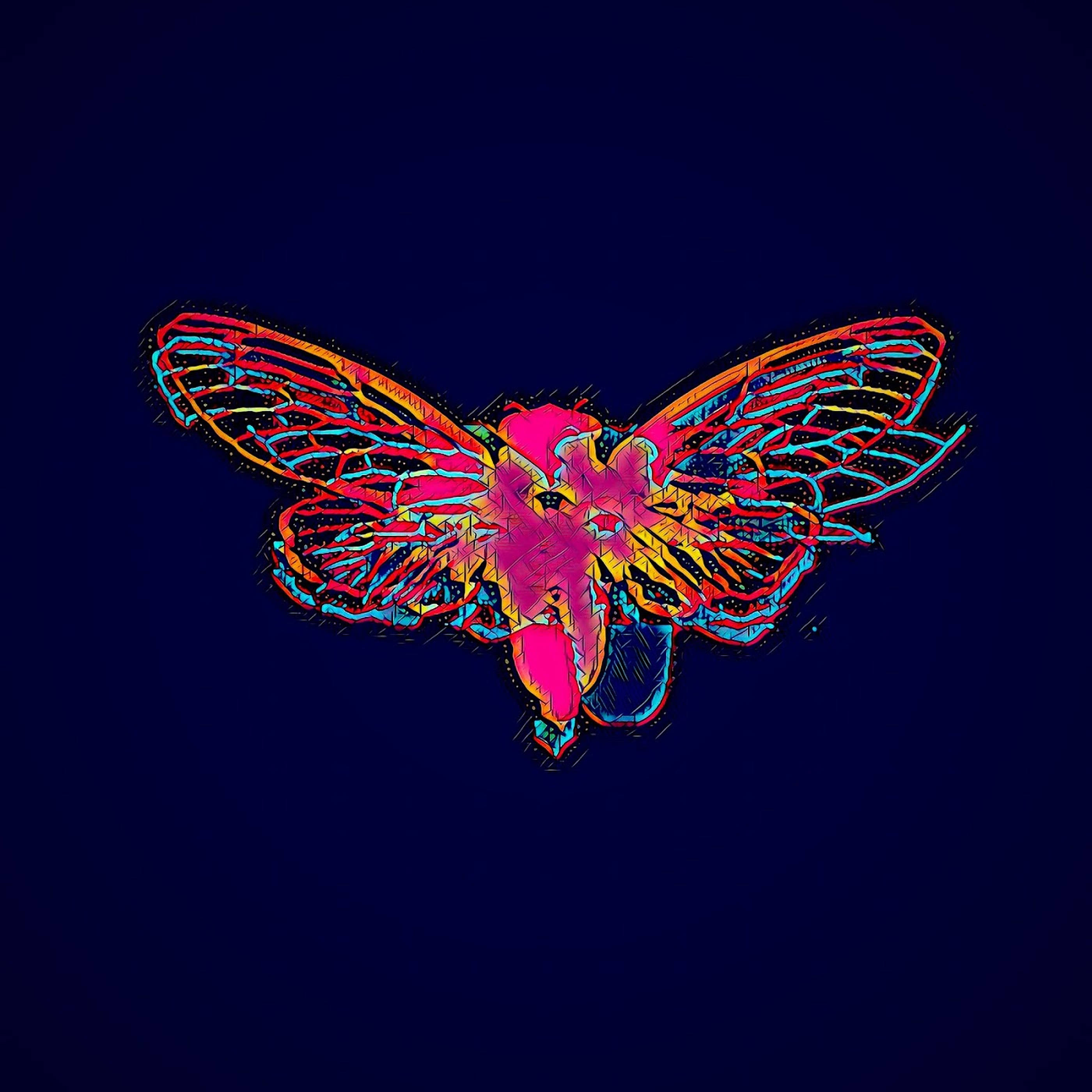 Cicada 桌布 壁紙 — 一隻充滿活力的螢光色昆蟲，帶有複雜的翅膀圖案，在深海軍藍背景下發光。