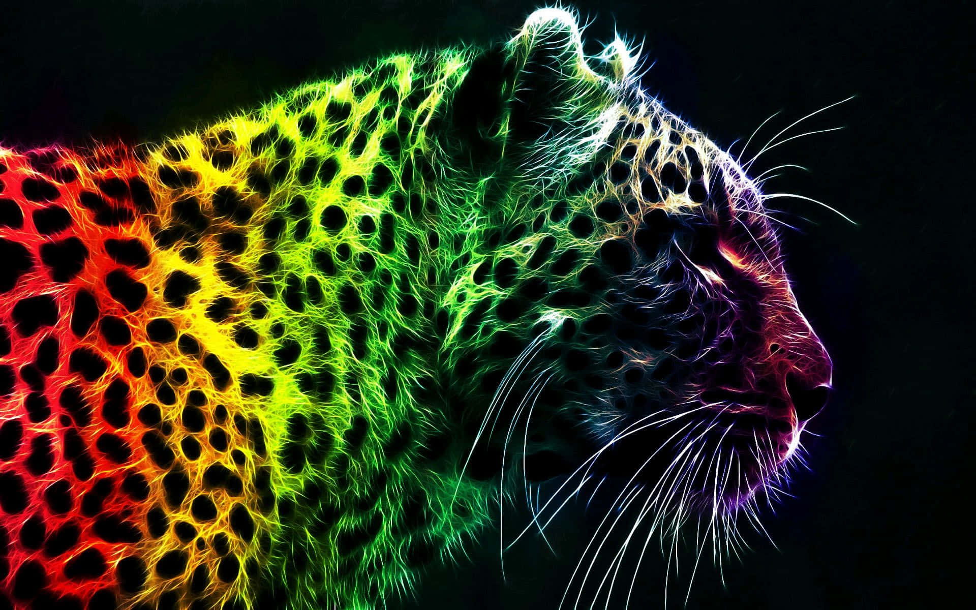 Cheetah 桌布 壁紙 — 一隻充滿活力的霓虹彩虹豹側面，背景為黑色，毛髮發光，斑點圖案清晰。
