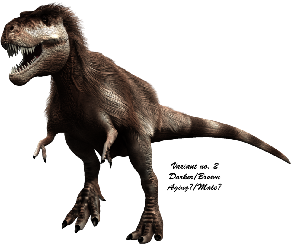 Tyrannosaurus Rex 桌布 壁紙 — 一隻兇猛、有羽毛的暴龍在黑色背景前露出牙齒咆哮。