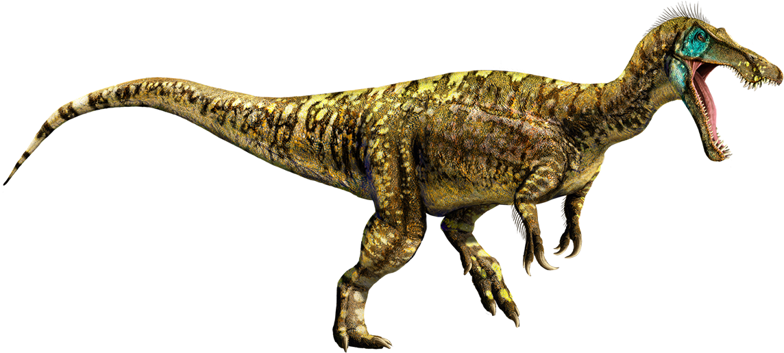 Jurassic World 桌布 壁紙 — 一隻兇猛、細節豐富的迅猛龍，帶有藍色面部標記和張開的下顎，站在純黑色背景前。
