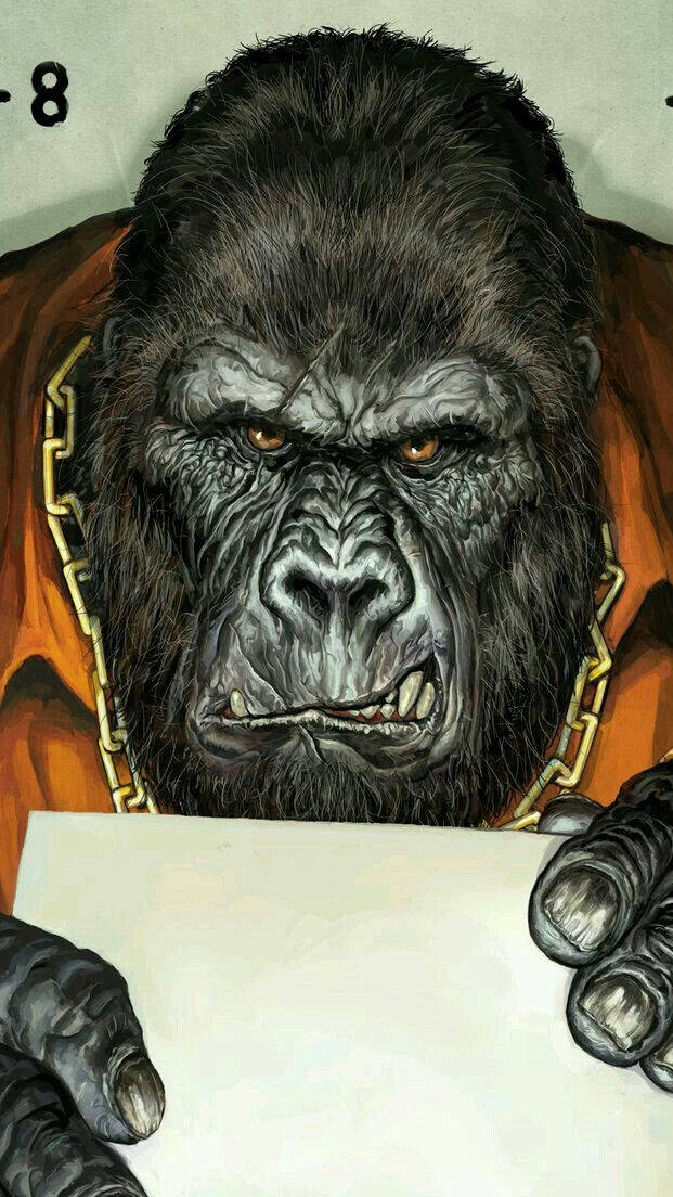 Gorilla 桌布 壁紙 — 一隻兇猛的大猩猩，擁有發光的琥珀色眼睛，脖子上戴著金鍊，抓著一張空白紙。