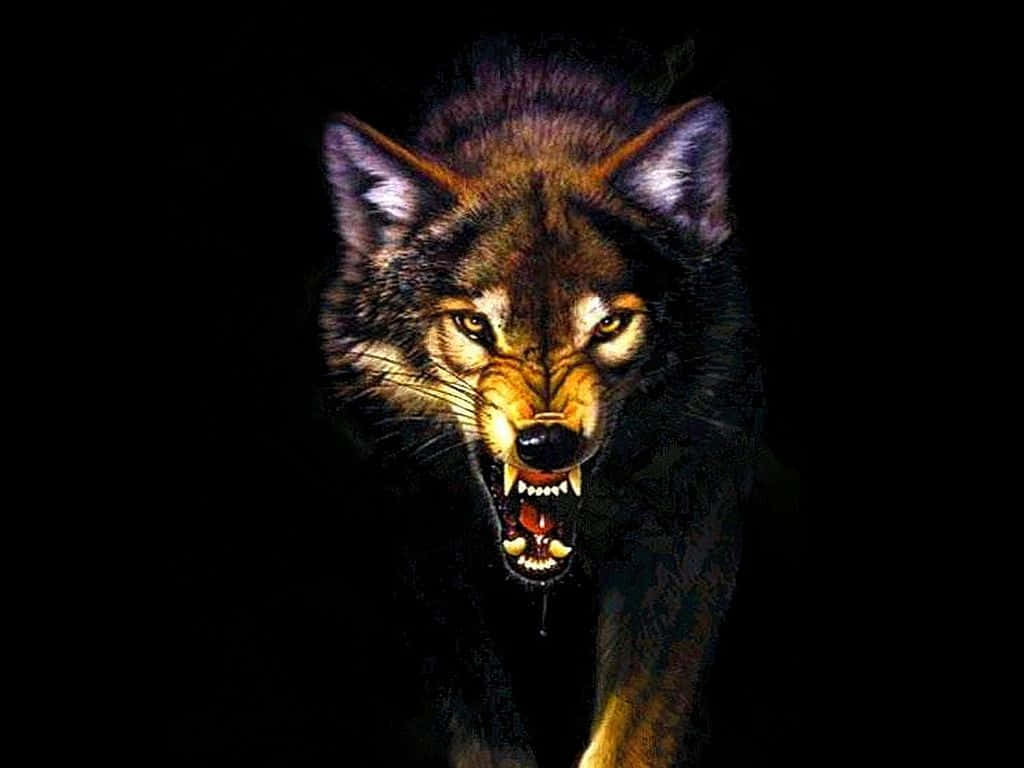 Angry Wolf 桌布 壁紙 — 一隻兇猛的狼，眼睛發光，露出牙齒，對著漆黑的背景咆哮。