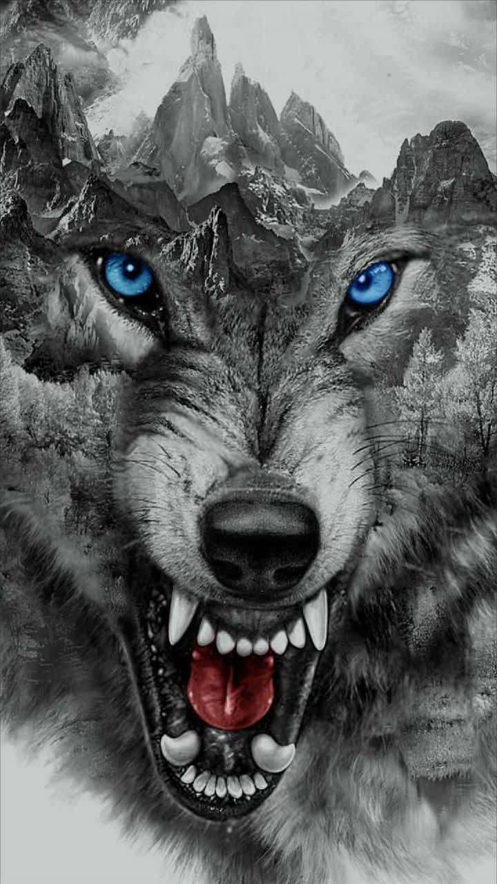 Wolf Tattoo 桌布 壁紙 — 一隻兇猛的狼，閃爍著藍色眼睛，露出牙齒，在單色山脈背景下向前凝視。