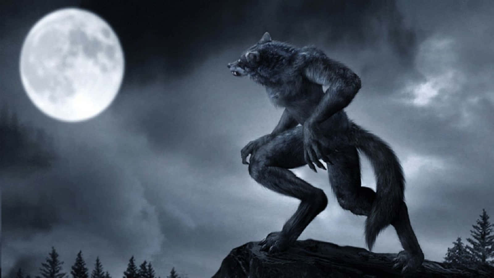 Werewolf Costumes 桌布 壁紙 — 一隻兇猛的狼人站在岩石露頭上，滿月之下，有黑暗的暴風雲和松樹。
