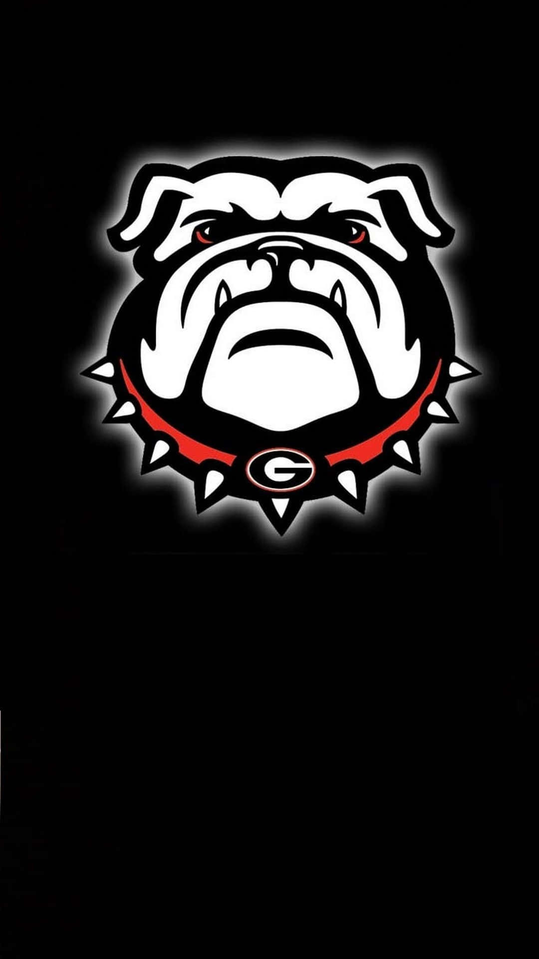 Bulldogs 桌布 壁紙 — 一隻兇猛的白鬥牛犬吉祥物，紅眼睛，戴尖刺項圈，在黑色背景上發光。