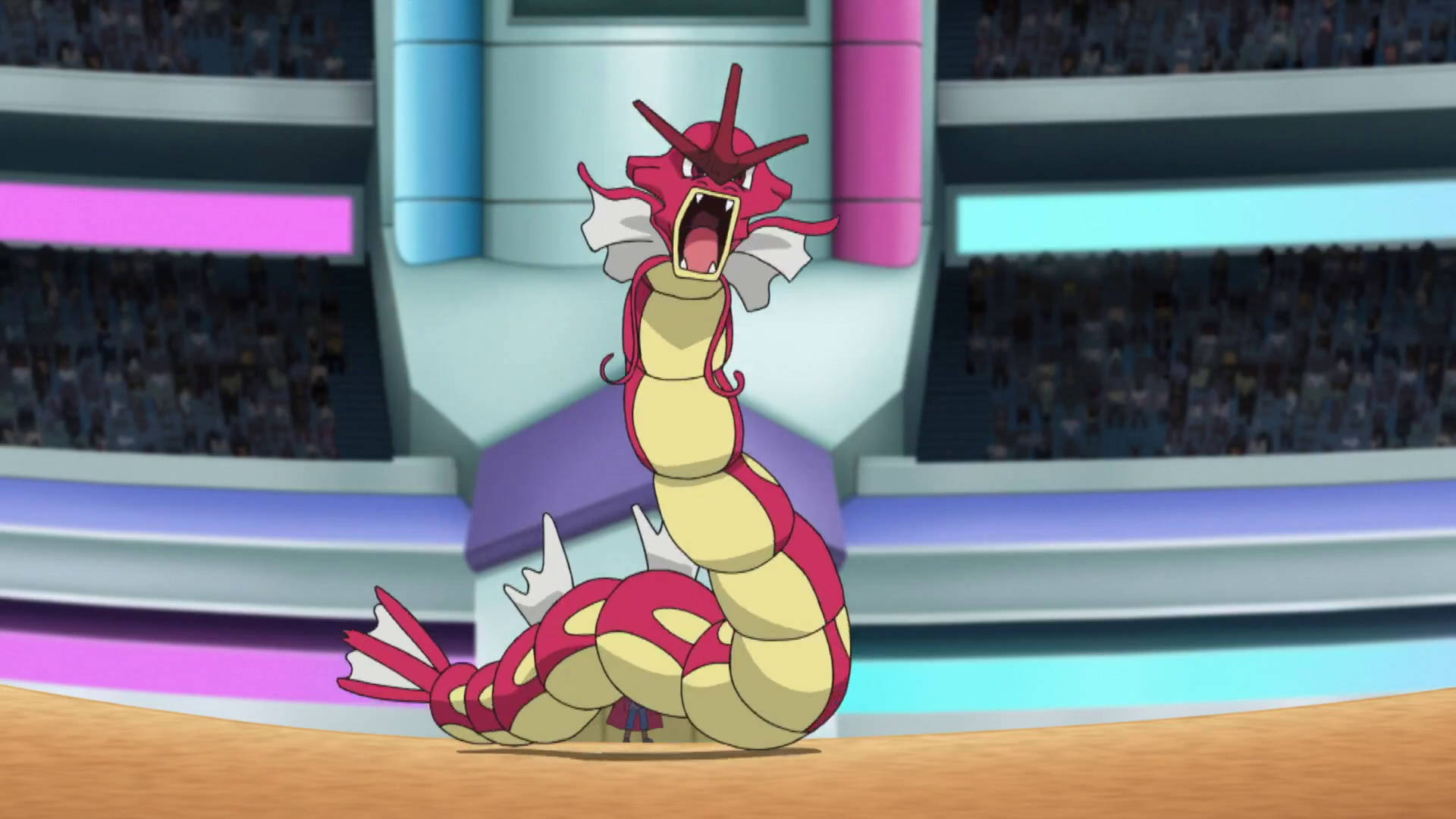 Gyarados 桌布 壁紙 — 一隻兇猛的紅色和奶油色龍系寶可夢在一個燈光明亮、坐滿觀眾的體育館中咆哮。