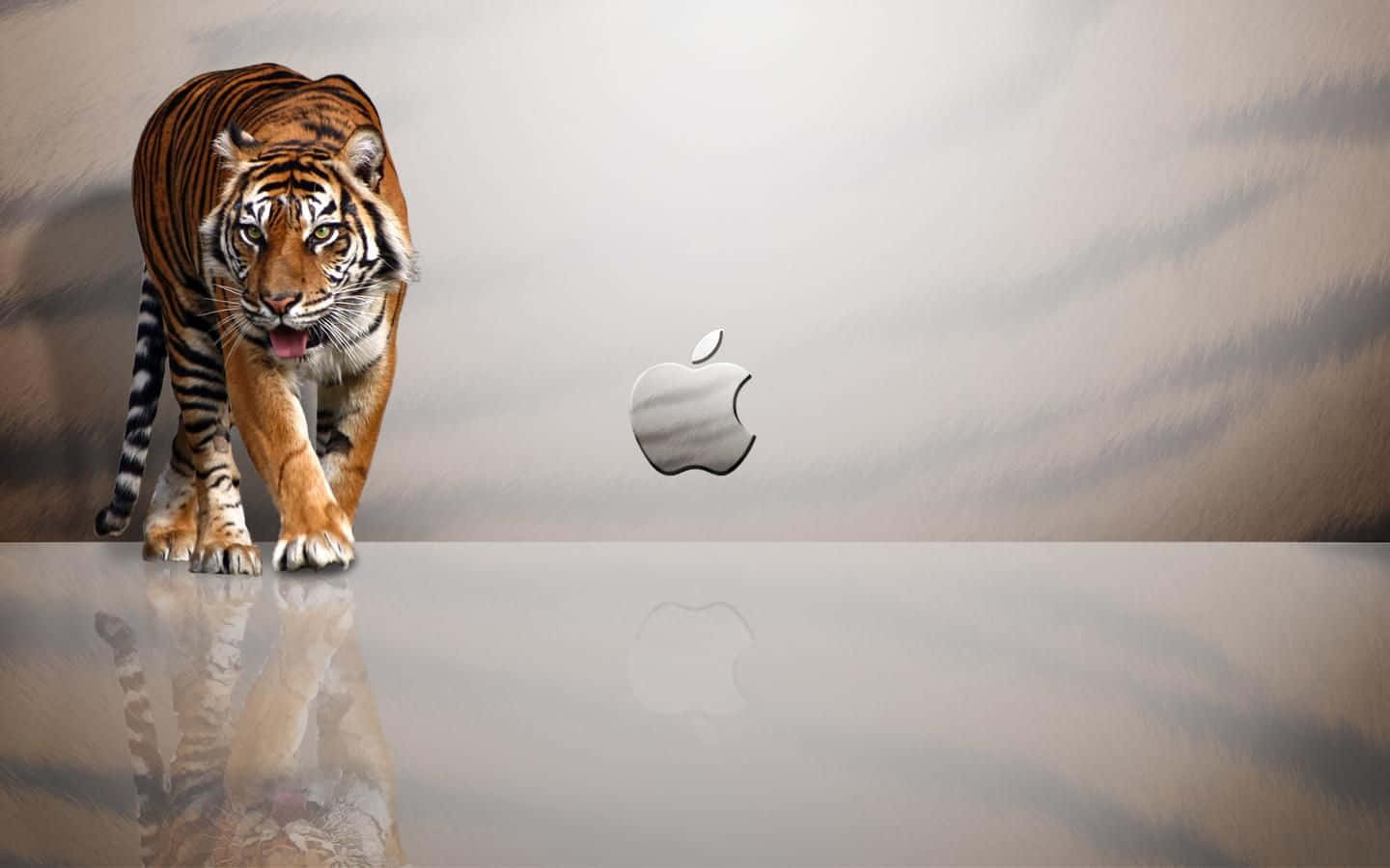 Cute Mac 桌布 壁紙 — 一隻兇猛的老虎在反光表面上向前邁步，旁邊有一個銀色的Apple標誌，背景是柔和的漸變色。