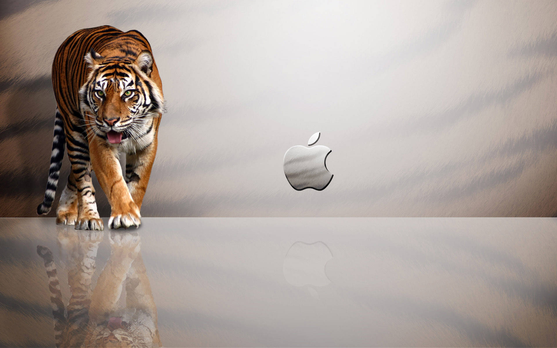 macOS 桌布 壁紙 — 一隻兇猛的老虎在反射表面上向前邁步，旁邊是銀色Apple標誌，背景為柔和的漸變色。
