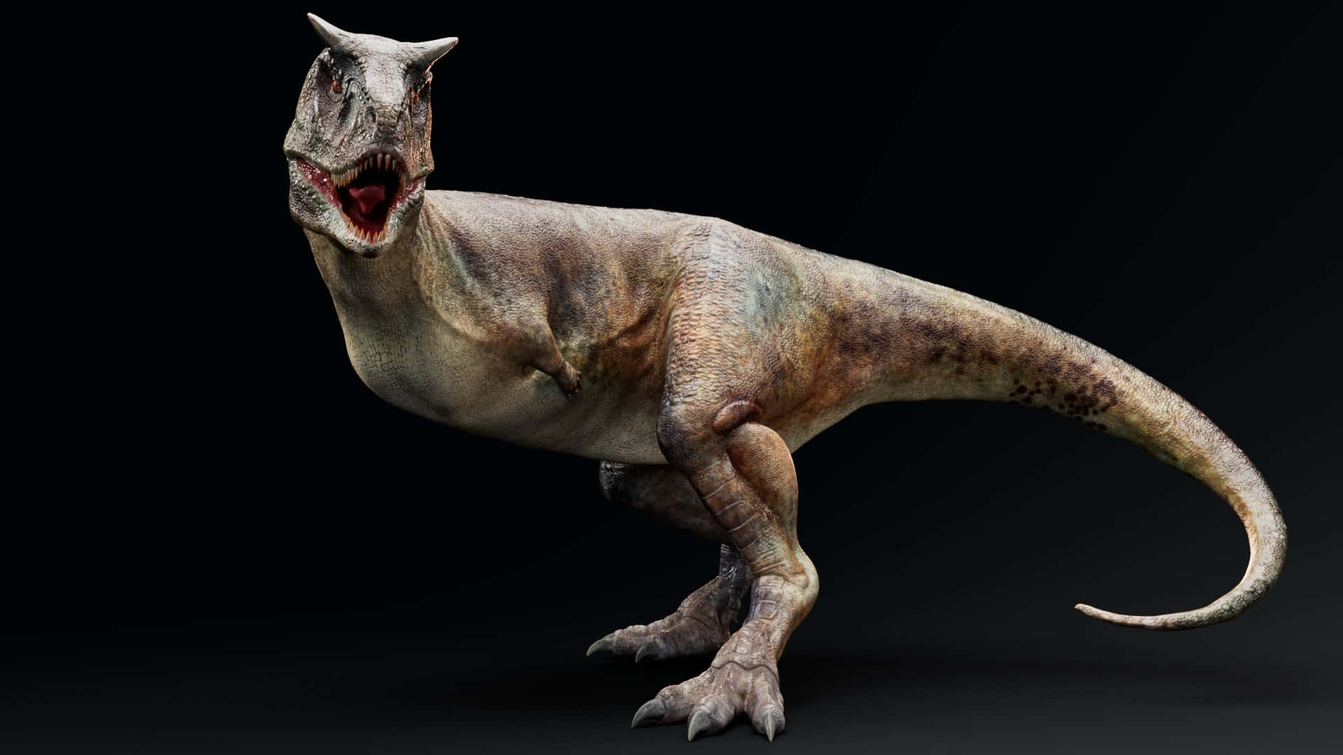 Realistic Dinosaur 桌布 壁紙 — 一隻兇猛的角鼻龍恐龍，張開下顎，皮膚帶有紋理，站在鮮明的黑色背景前。