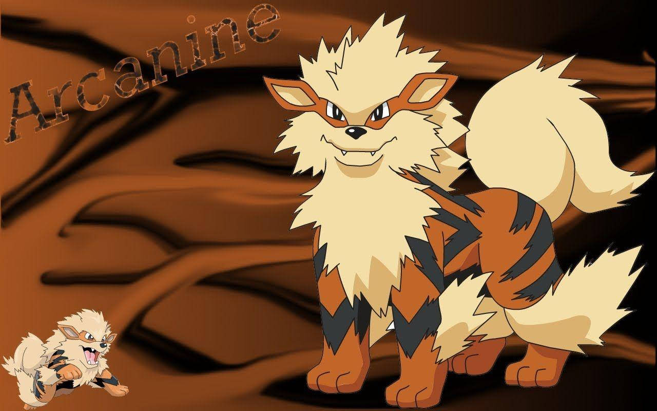 Arcanine 桌布 壁紙 — 一隻兇猛的風速狗自豪地站在旋轉的棕色背景前，其較小的形態在角落。