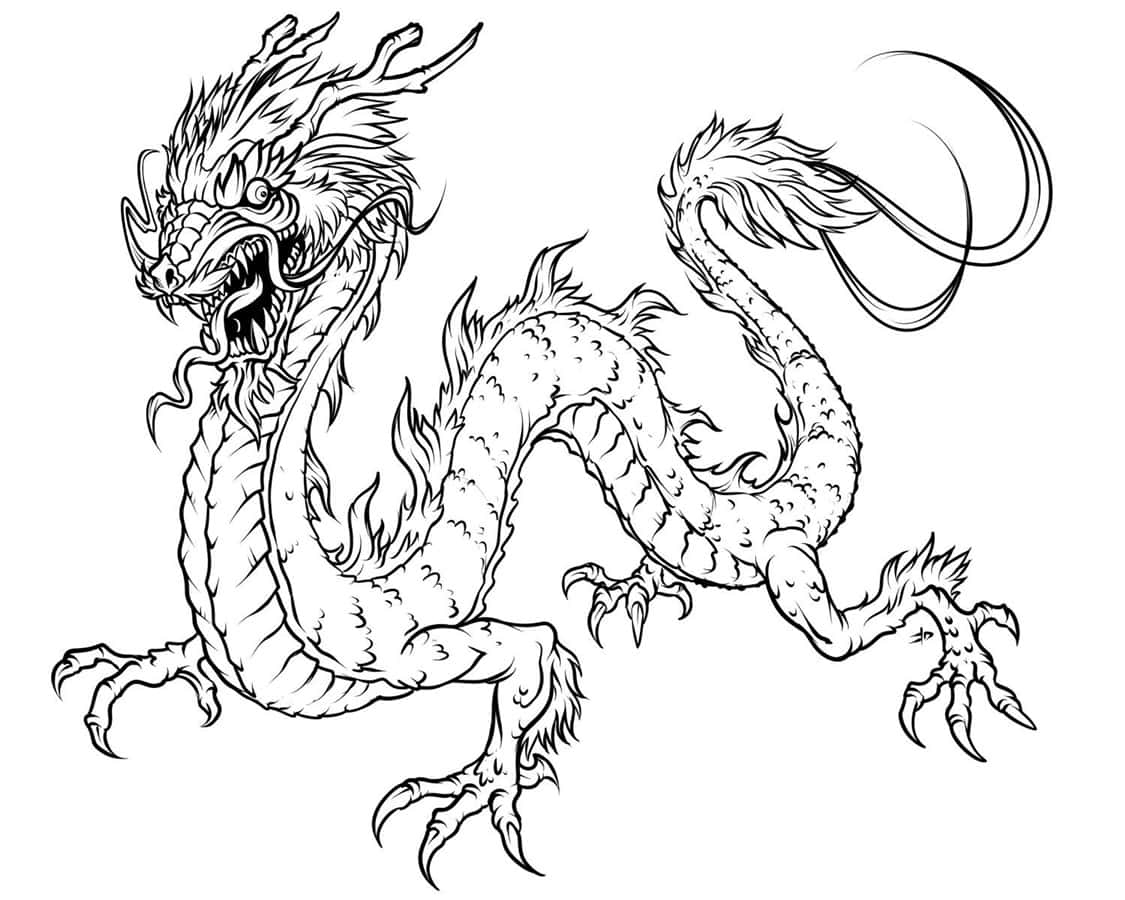 Dragon Coloring 桌布 壁紙 — 一隻兇猛的黑白線條藝術龍，帶有詳細的鱗片和爪子，在純色背景上動態擺姿勢。