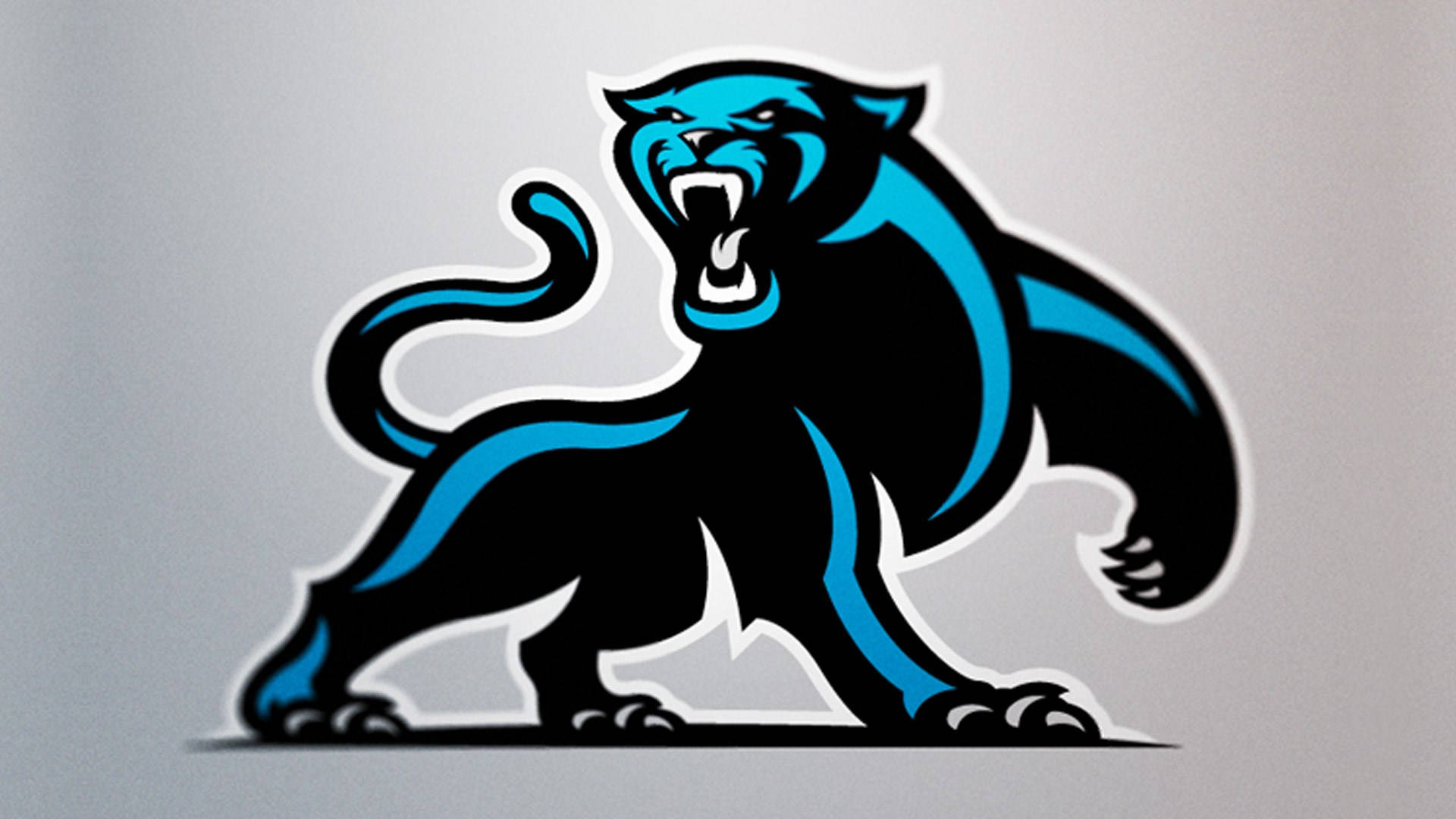Panthers 桌布 壁紙 — 一隻兇猛的黑豹帶有發光的藍色點綴，在純灰色背景上侵略性地咆哮。