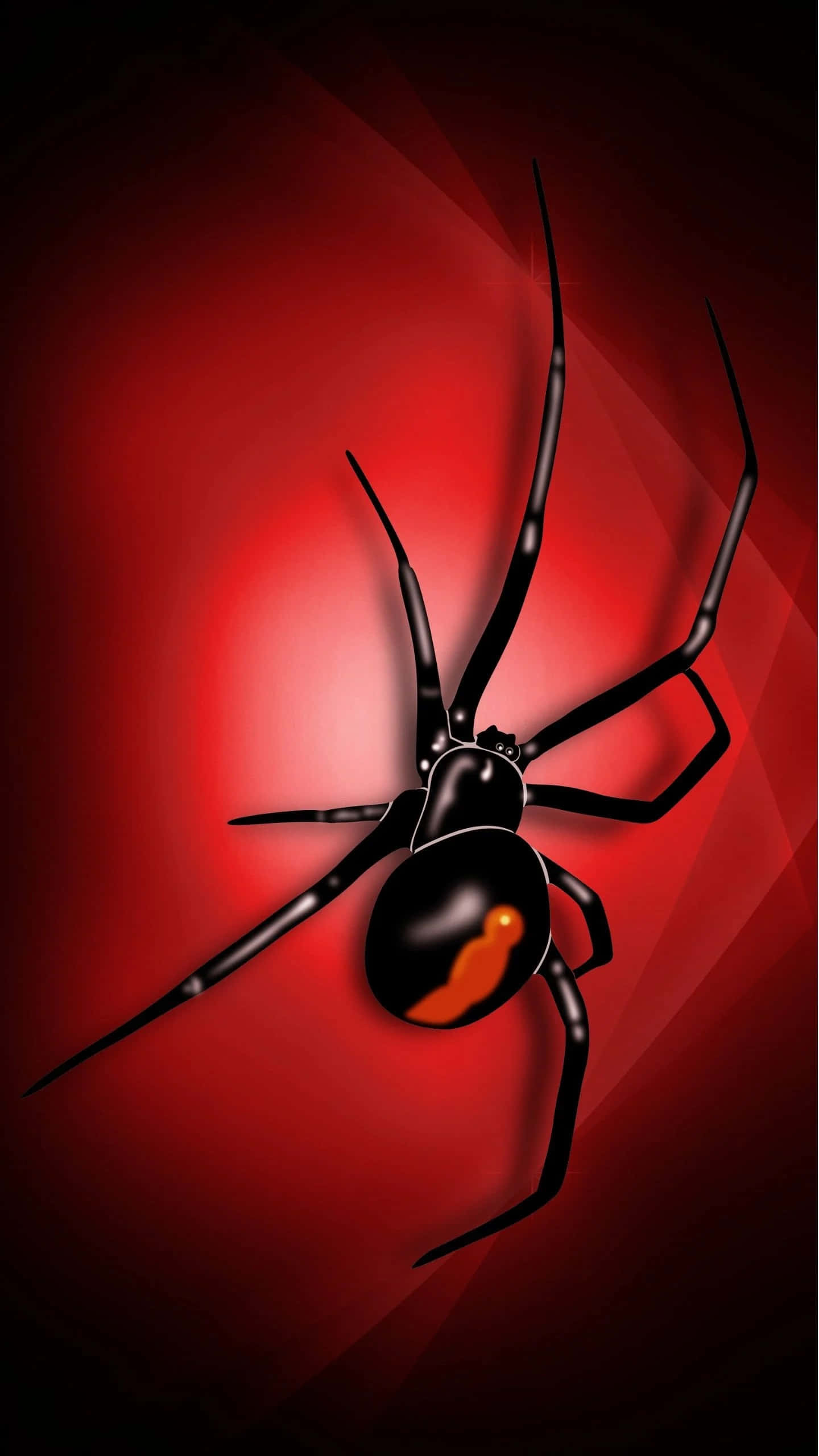 Spider 桌布 壁紙 — 一隻光滑的黑色寡婦蜘蛛，帶有鮮豔的橙色沙漏，在紅色漸變背景上發光。