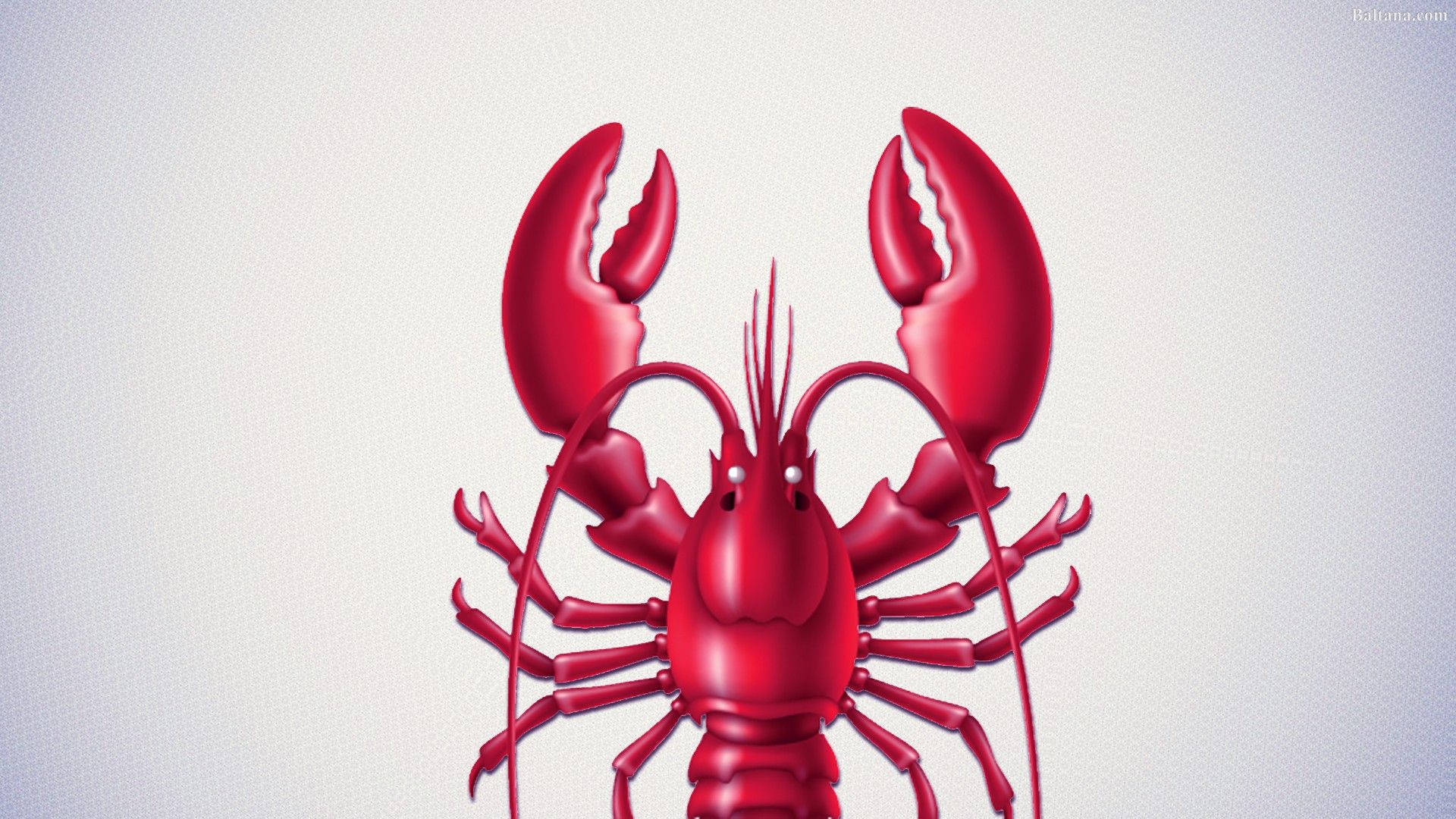 Lobster 桌布 壁紙 — 一隻光澤的紅色龍蝦以3D渲染，帶有鋒利的爪和觸角，背景為淺灰色紋理。