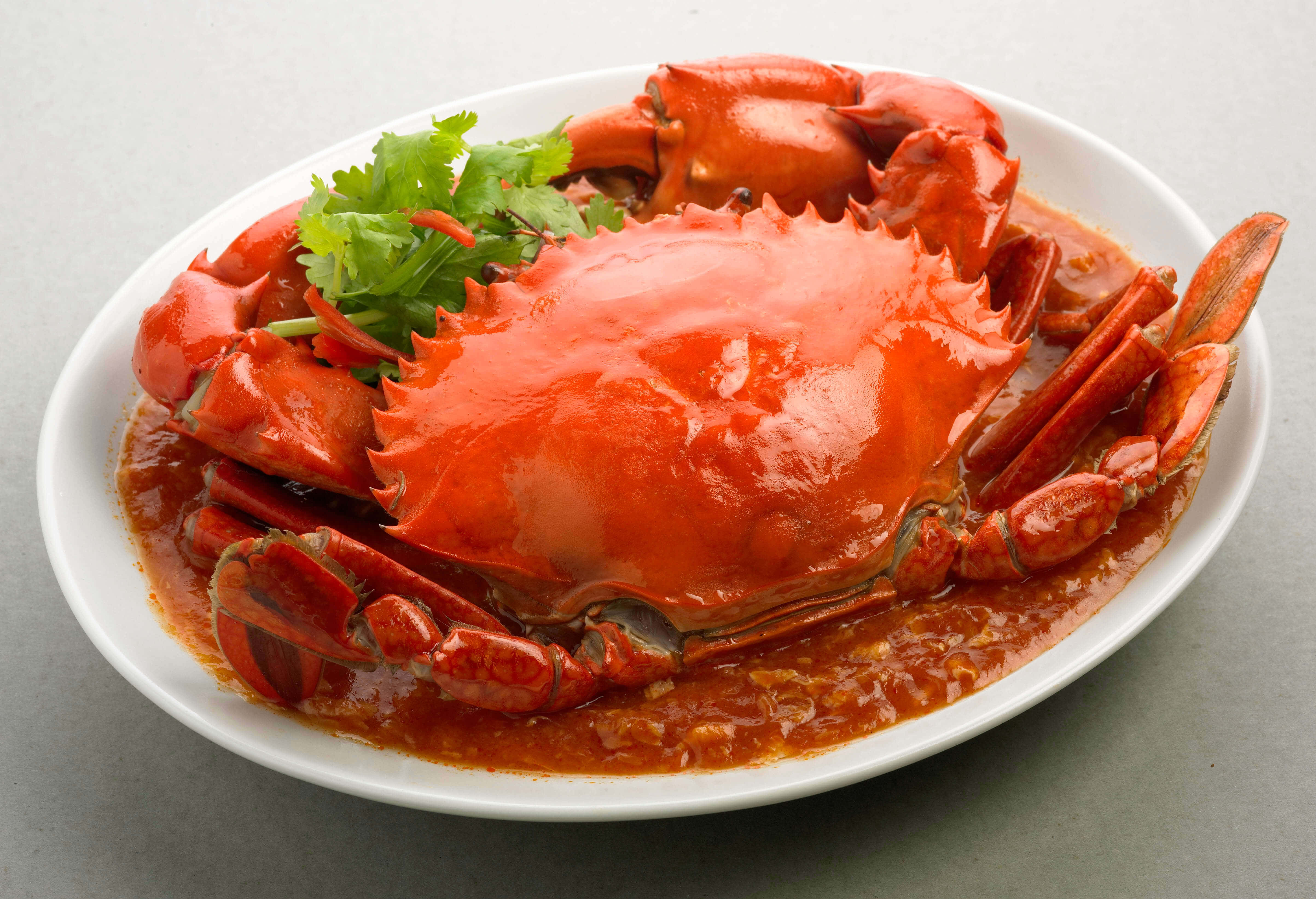 Spicy 桌布 壁紙 — 一隻光澤紅色的熟蟹，配上濃郁醬汁，以香菜點綴，放在白色盤子上，背景為中性灰色。