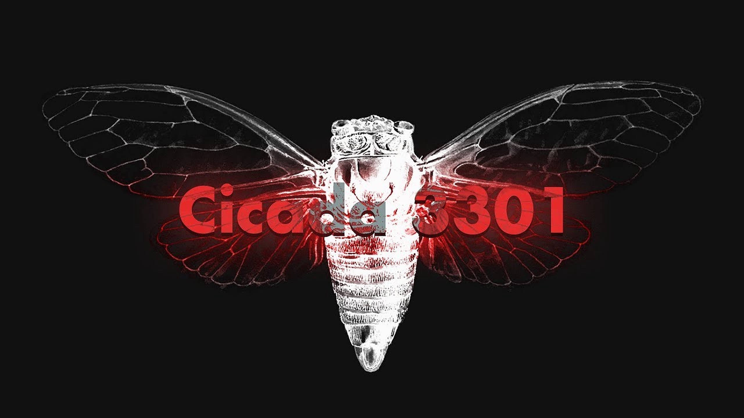 Cicada 桌布 壁紙 — 一隻半透明的蟬，帶有發光的紅色脈絡和展開的翅膀，背景為黑色並帶有紅色文字。