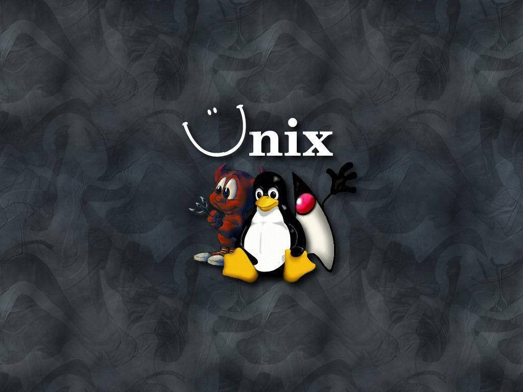 Programming 桌布 壁紙 — 一隻卡通企鵝和狐狸站在深色紋理背景上的 Unix 字樣旁邊。