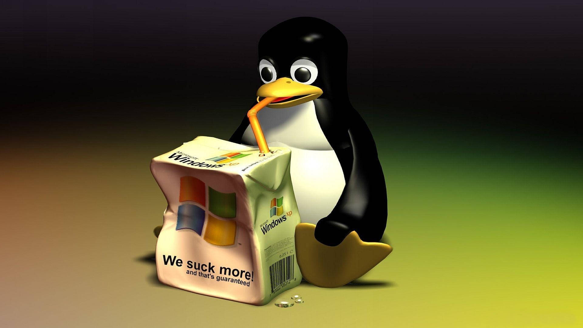桌面 桌布 壁紙 — 一隻卡通企鵝在漸層背景前，從一個寫著『We suck more!』的Windows果汁盒中啜飲。