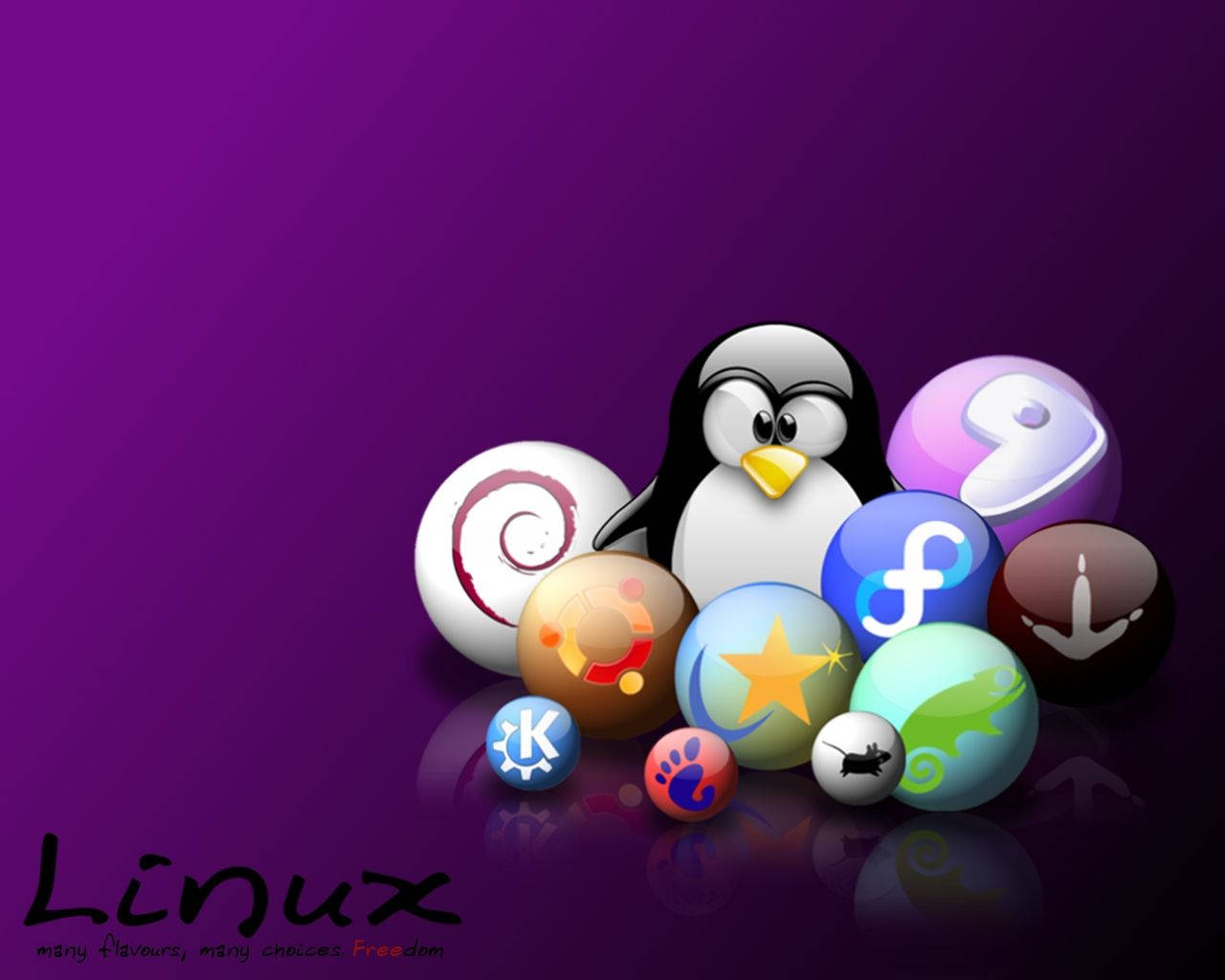 桌面 桌布 壁紙 — 一隻卡通企鵝被色彩繽紛的Linux發行版標誌包圍，背景為紫色漸變。