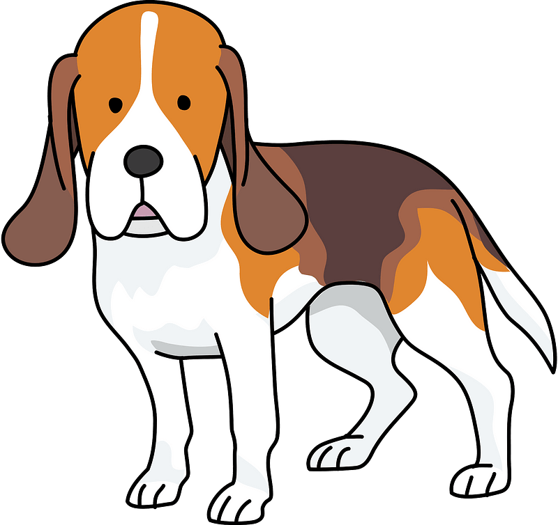 米格魯 桌布 壁紙 — 一隻卡通比格犬，長著垂耳和三色毛皮，在純青色背景前警覺地站立。