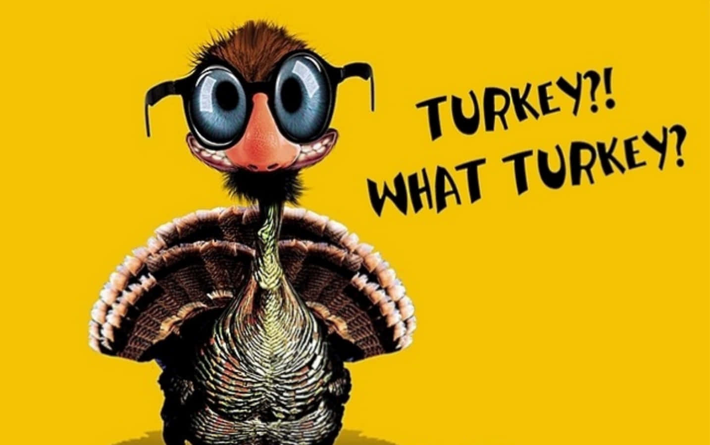 Thanksgiving Funny 桌布 壁紙 — 一隻卡通火雞戴著超大眼鏡，表情驚訝，站在鮮黃色背景前，粗體文字寫著「火雞？！什麼火雞？」
