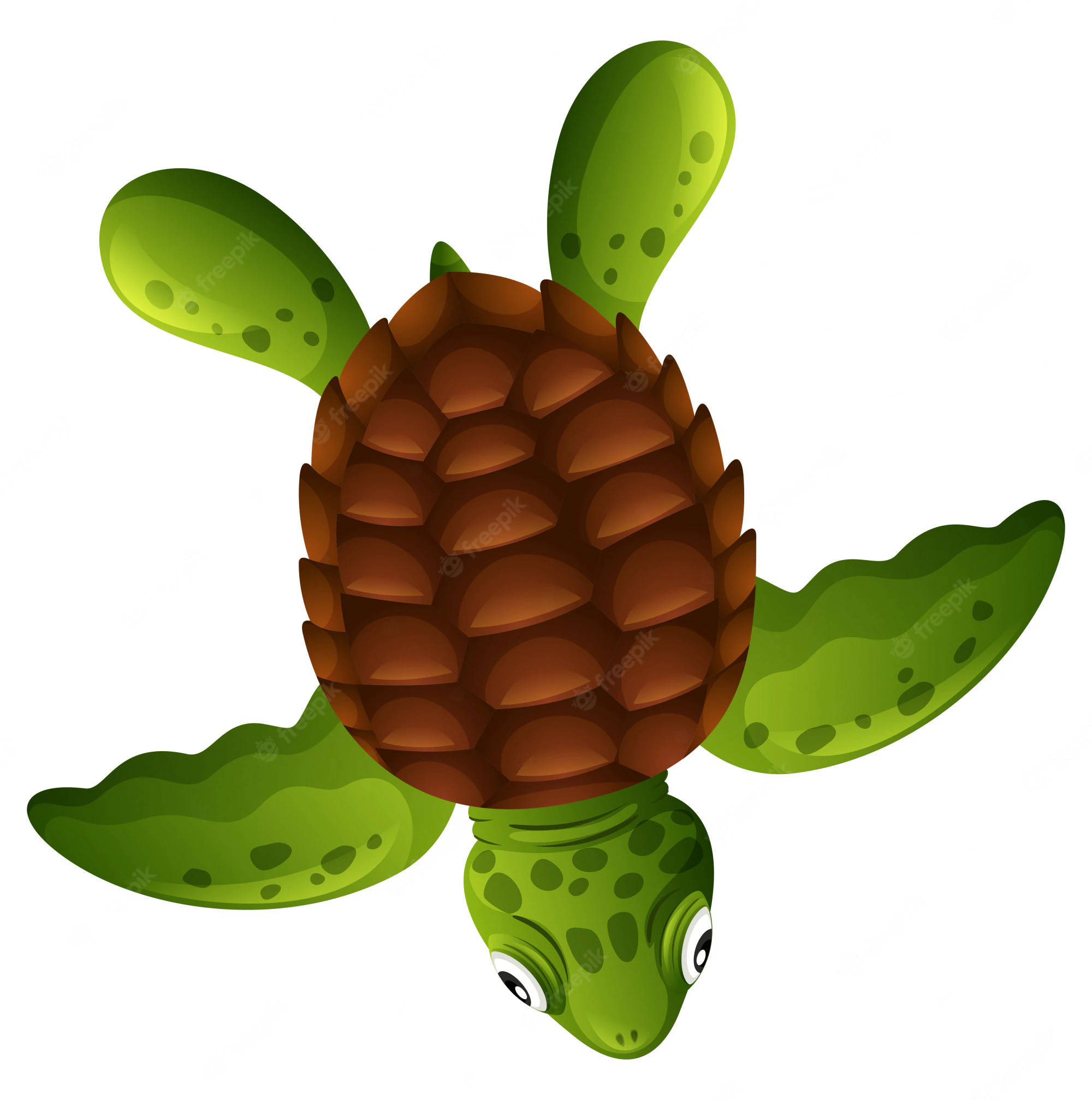 Cartoon Turtle 桌布 壁紙 — 一隻卡通烏龜，有松果殼和綠色斑點四肢，在白色背景上游泳。