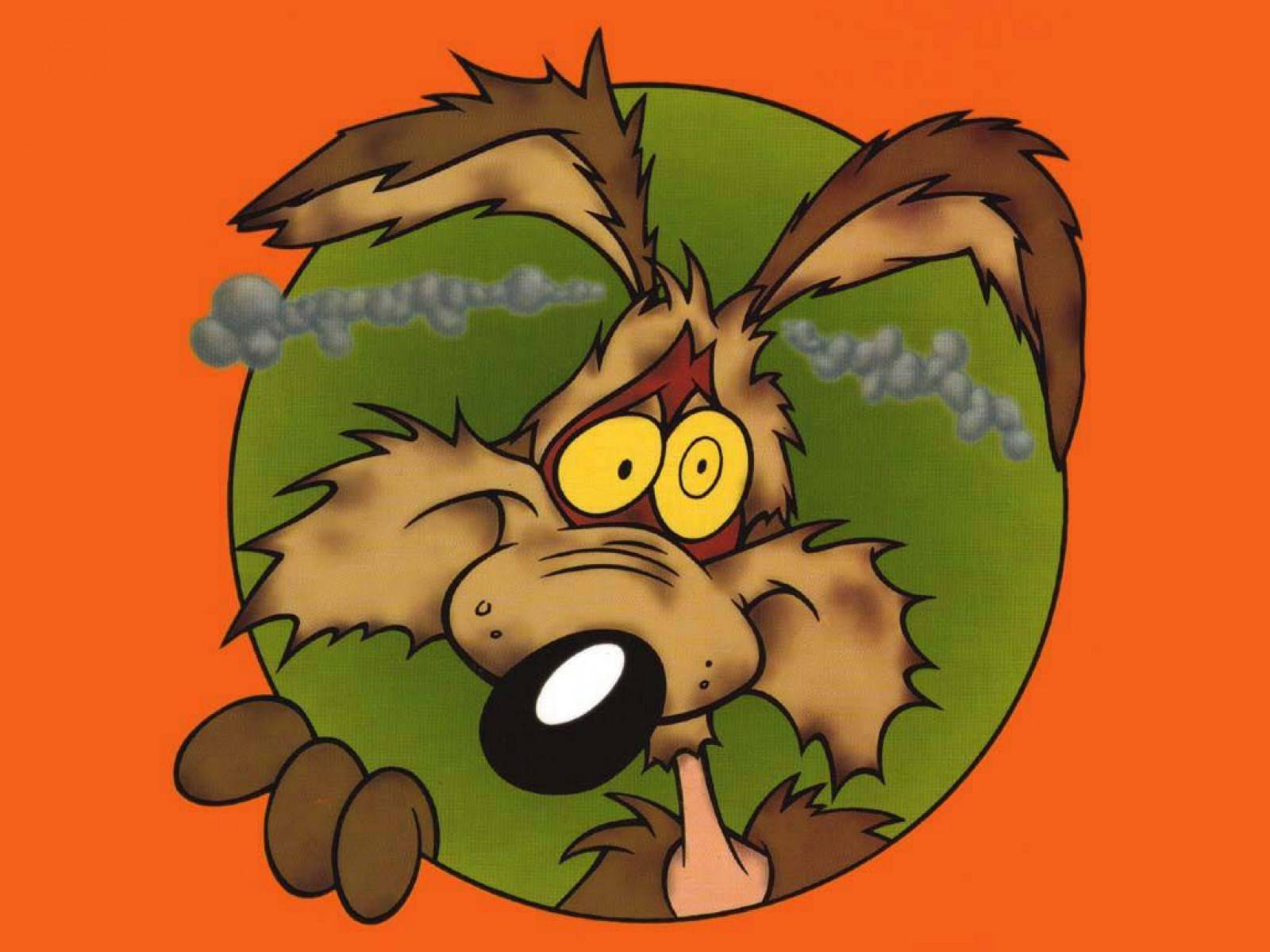 Stoned Cartoon 桌布 壁紙 — 一隻卡通狗，有著大大的黃色眼睛，耳朵冒著蒸氣，從橙色背景中的綠色圓圈裡探出頭來。