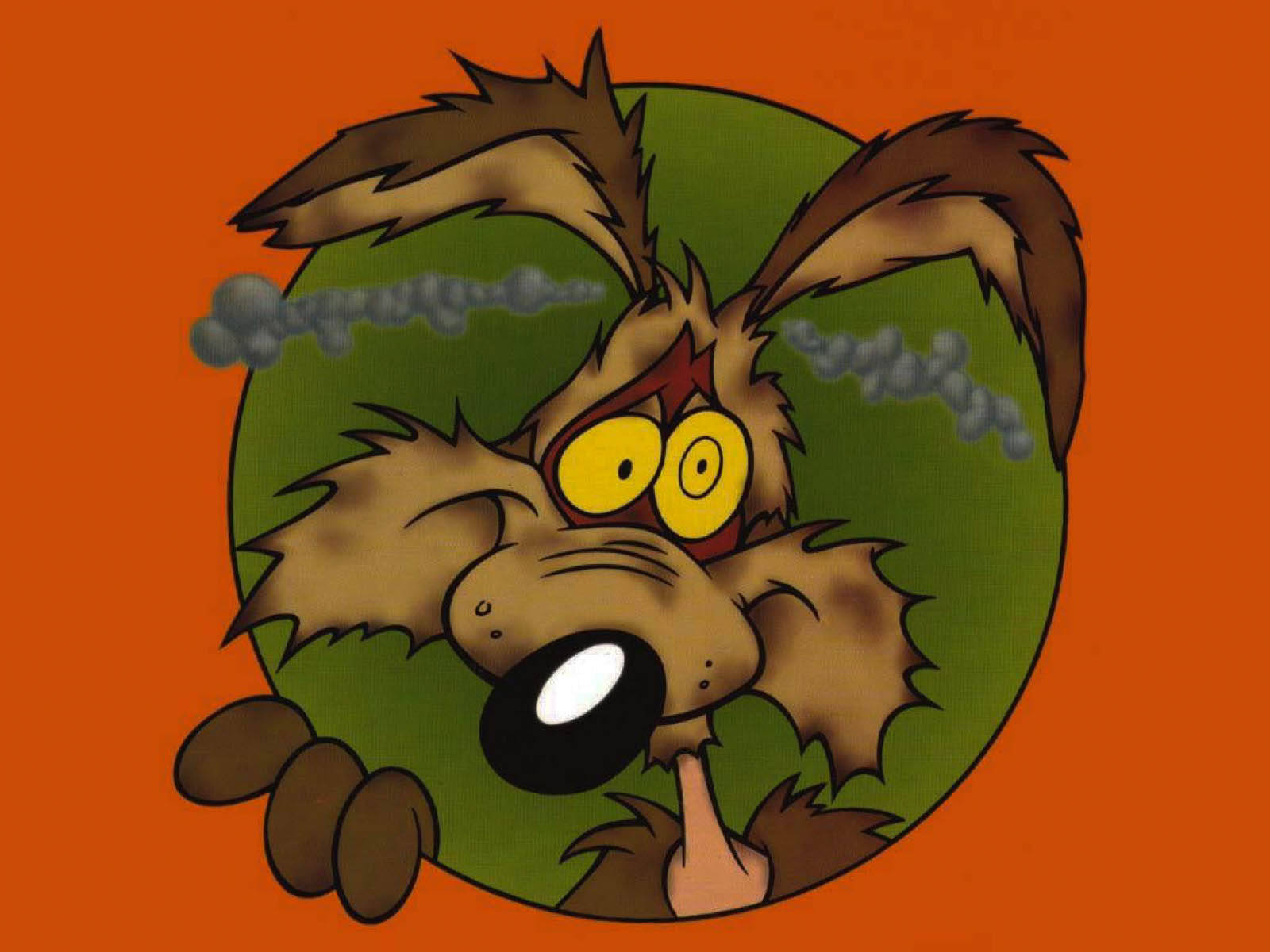 Coyote 桌布 壁紙 — 一隻卡通狗，毛髮蓬鬆，眼睛圓睜，從綠色圓圈中探出頭來，背景是明亮的橙色。