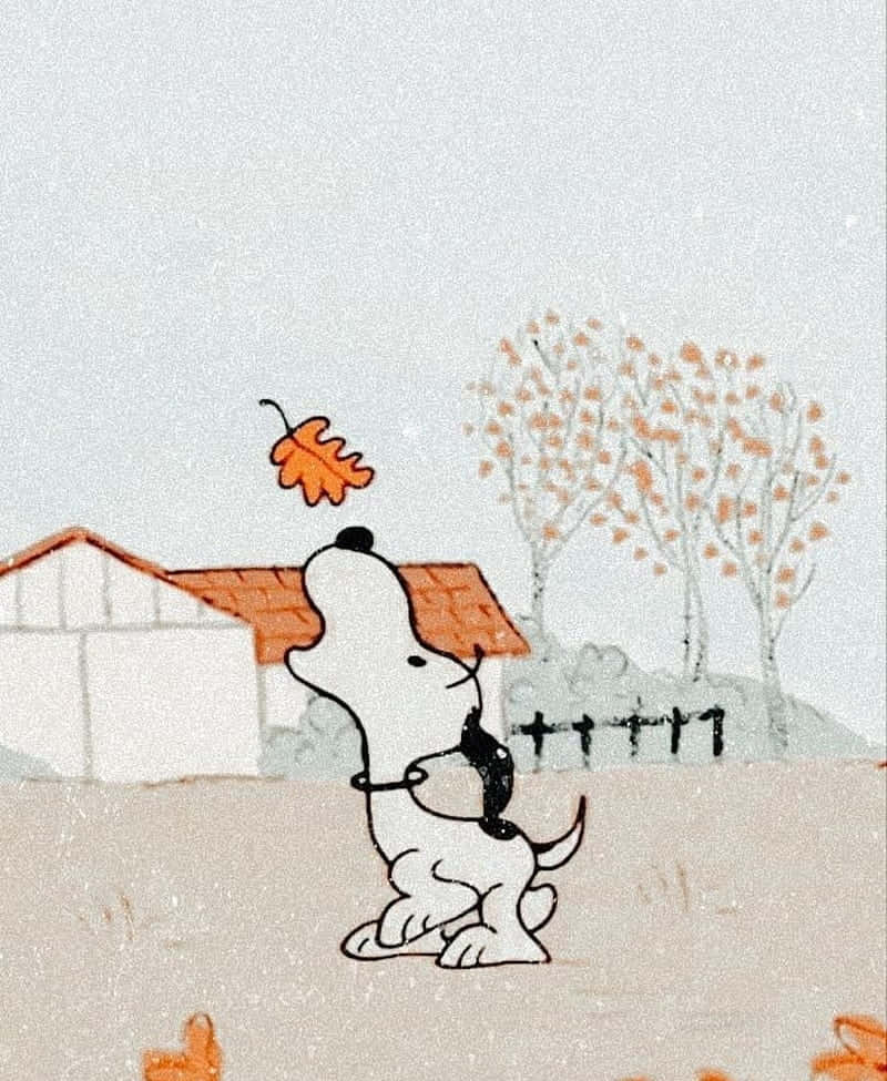 Snoopy Fall 桌布 壁紙 — 一隻卡通狗看著一片橙色樹葉在一間有秋樹的房子前飄落。