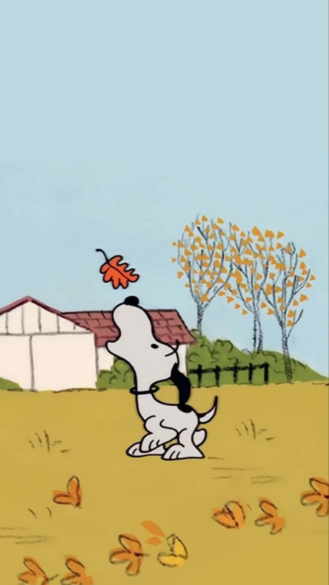 Snoopy Fall 桌布 壁紙 — 一隻卡通狗高興地看着一片橙色樹葉在房子附近的金色秋田上飄落。