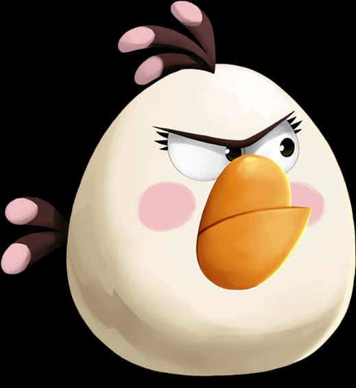 Angry Birds 桌布 壁紙 — 一隻卡通白色小鳥，表情憤怒，臉頰粉紅，背景為黑色。