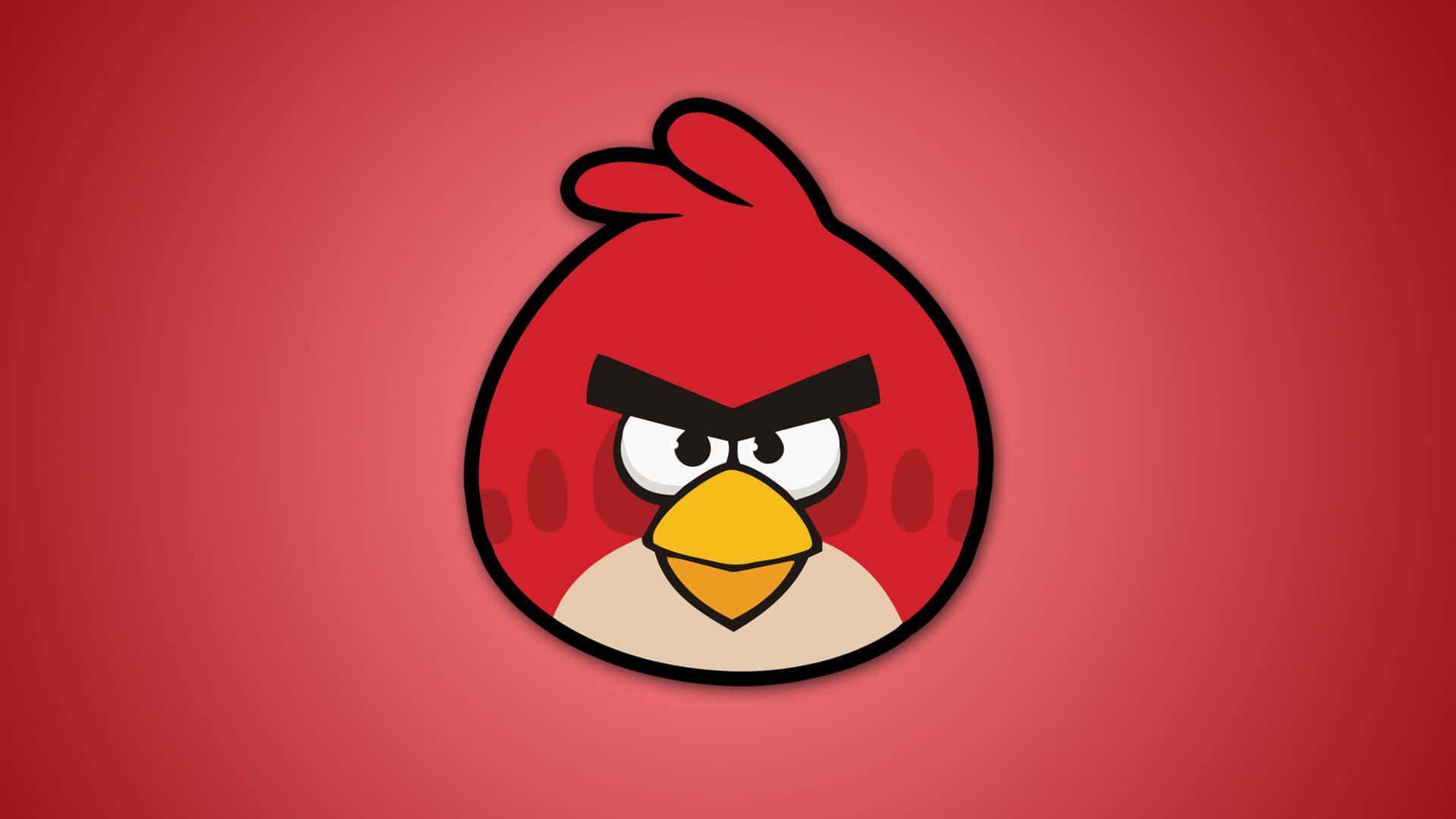 Angry Birds 桌布 壁紙 — 一隻卡通紅色憤怒鳥，黃色喙和黑色眉毛，在純紅色背景上強烈凝視。