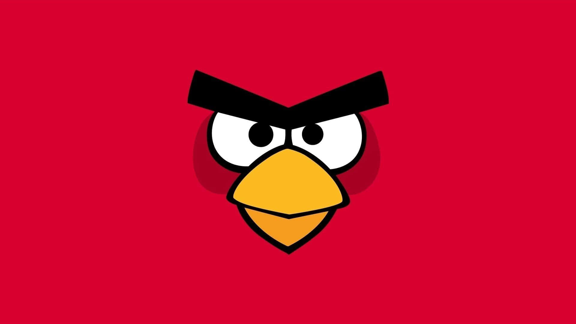 Angry Birds 桌布 壁紙 — 一隻卡通紅鳥，帶有憤怒的眉毛和黃色鳥喙，在純紅色背景上強烈凝視。