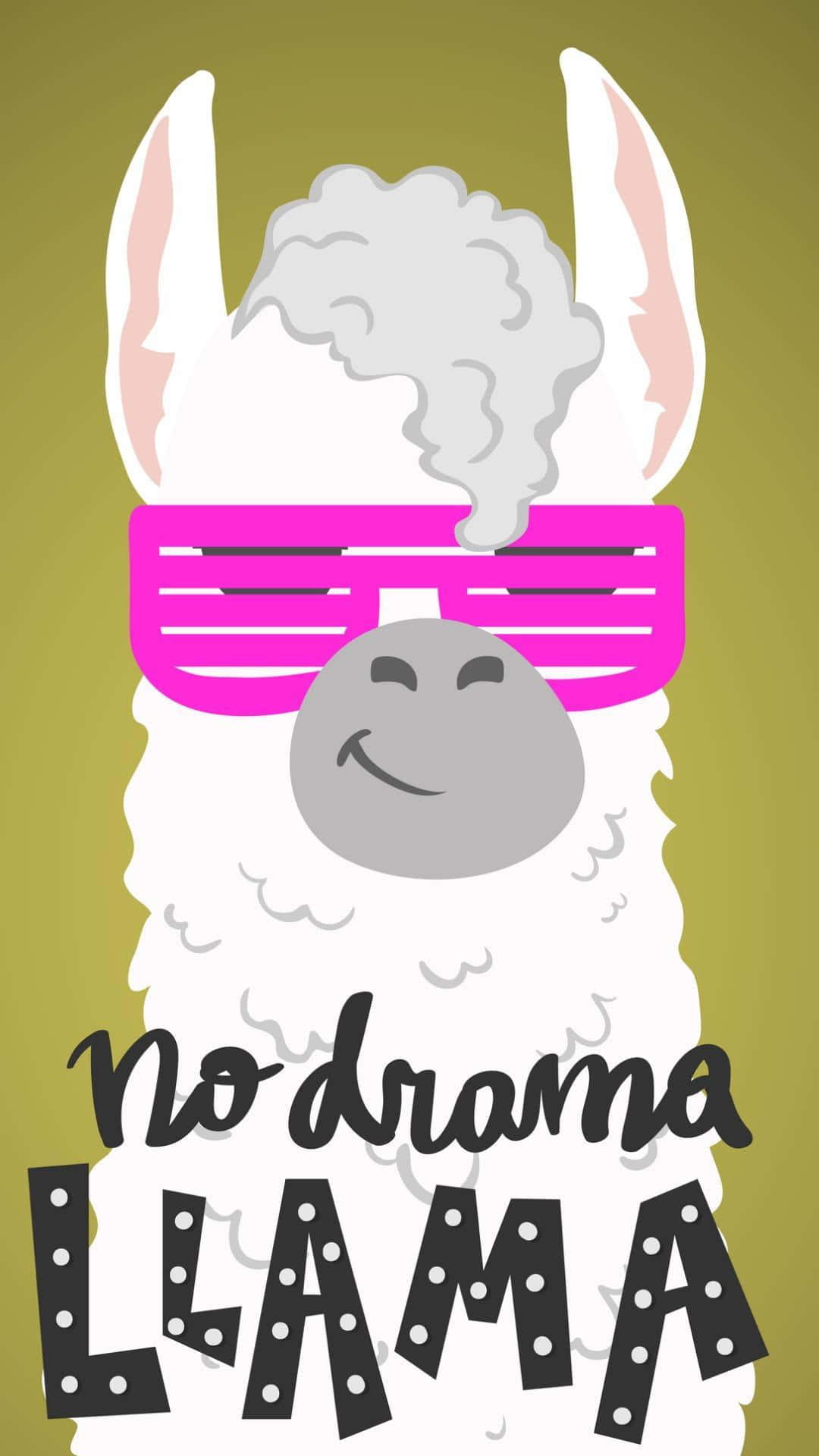 Cute Llama 桌布 壁紙 — 一隻卡通羊駝戴著粉紅色太陽眼鏡，頭頂冒著蒸氣，背景為綠色，並有「No Drama Llama」文字。