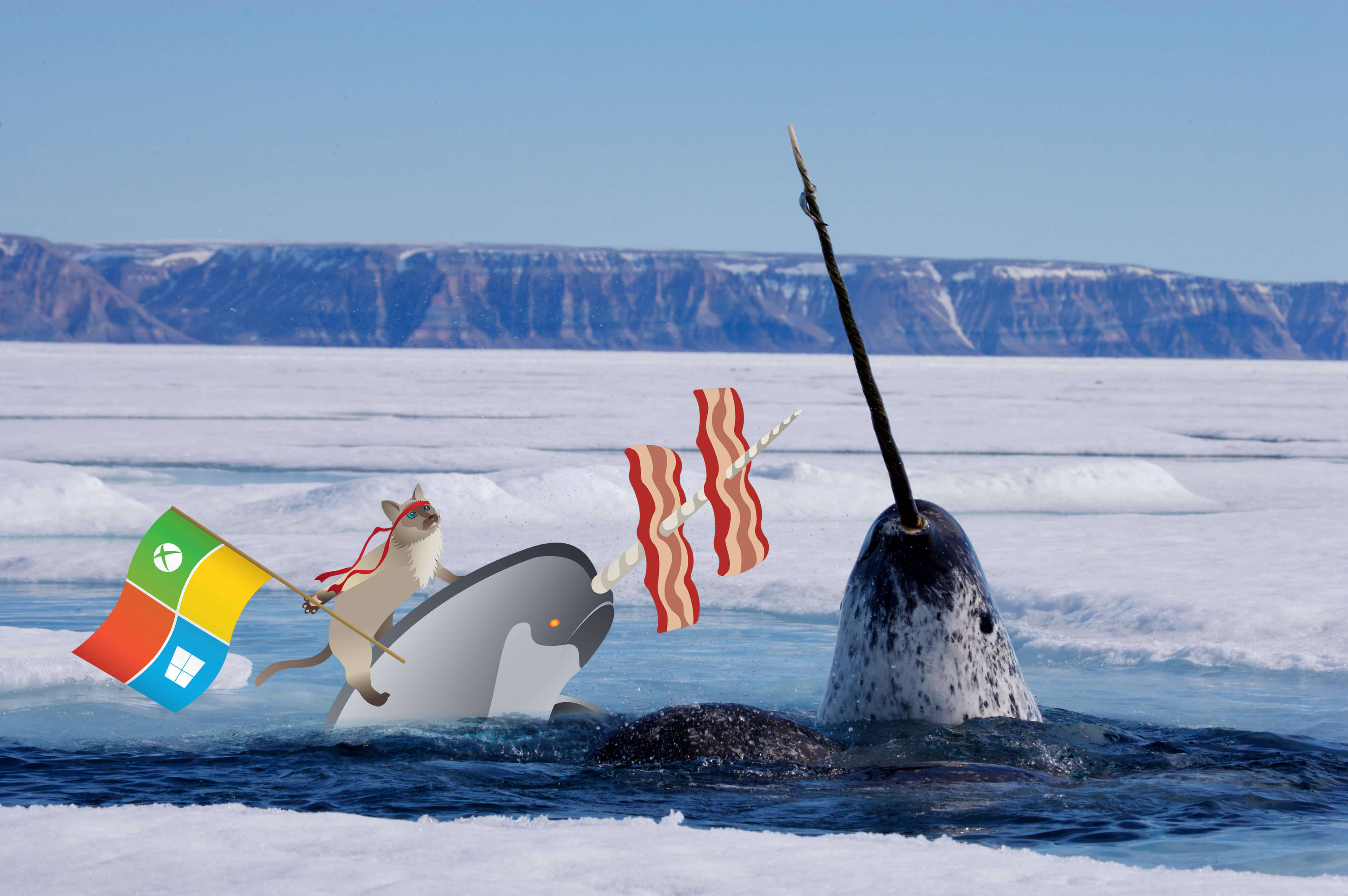 Narwhal 桌布 壁紙 — 一隻卡通老鼠騎在獨角鯨上，手持Windows旗幟，培根片從其角上飛出，背景是冰冷的北極。