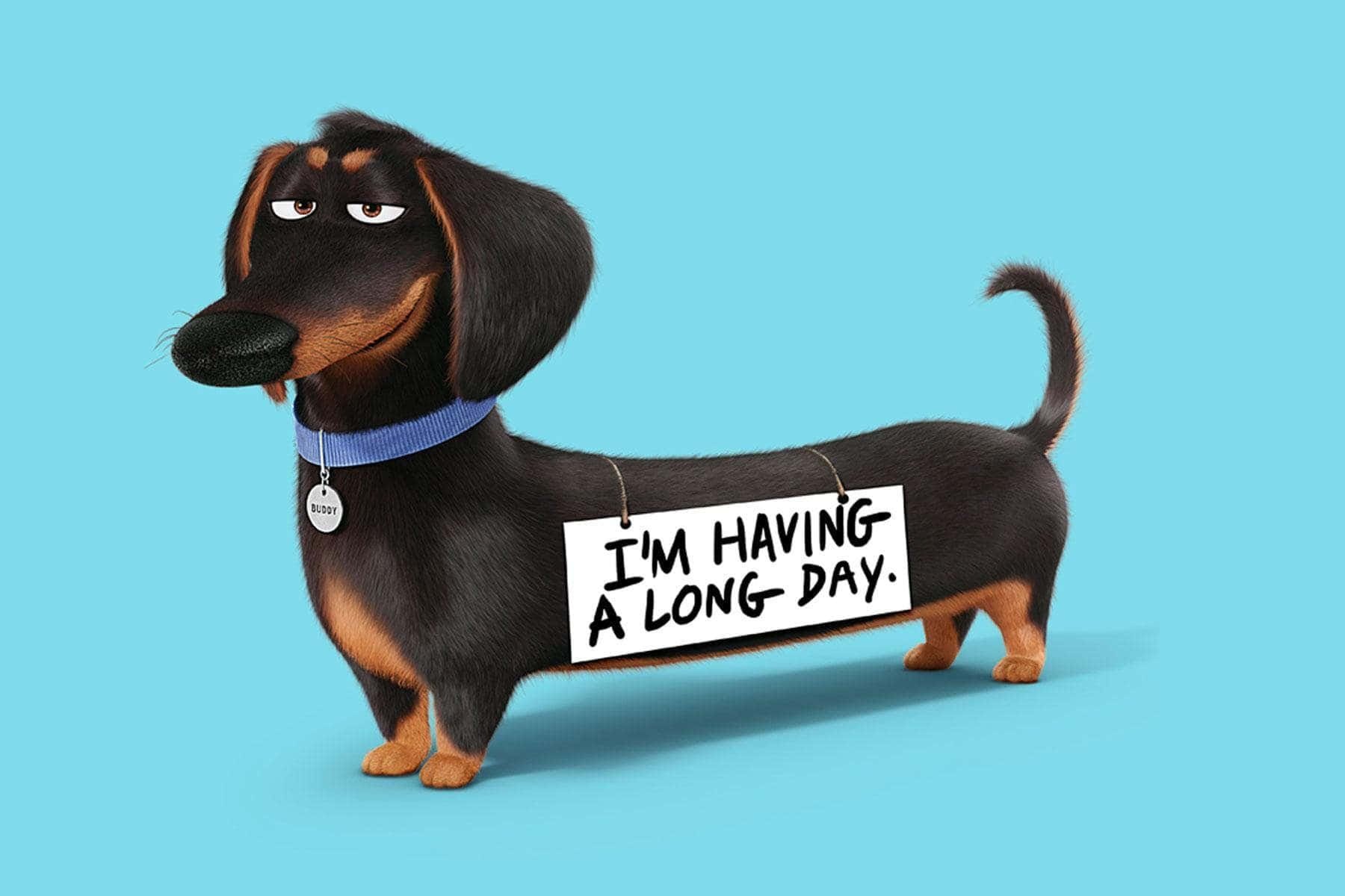 Dog Desktop 桌布 壁紙 — 一隻卡通臘腸犬帶著疲憊的表情，舉著一塊寫著「我度過了漫長的一天」的牌子，背景是純藍色。