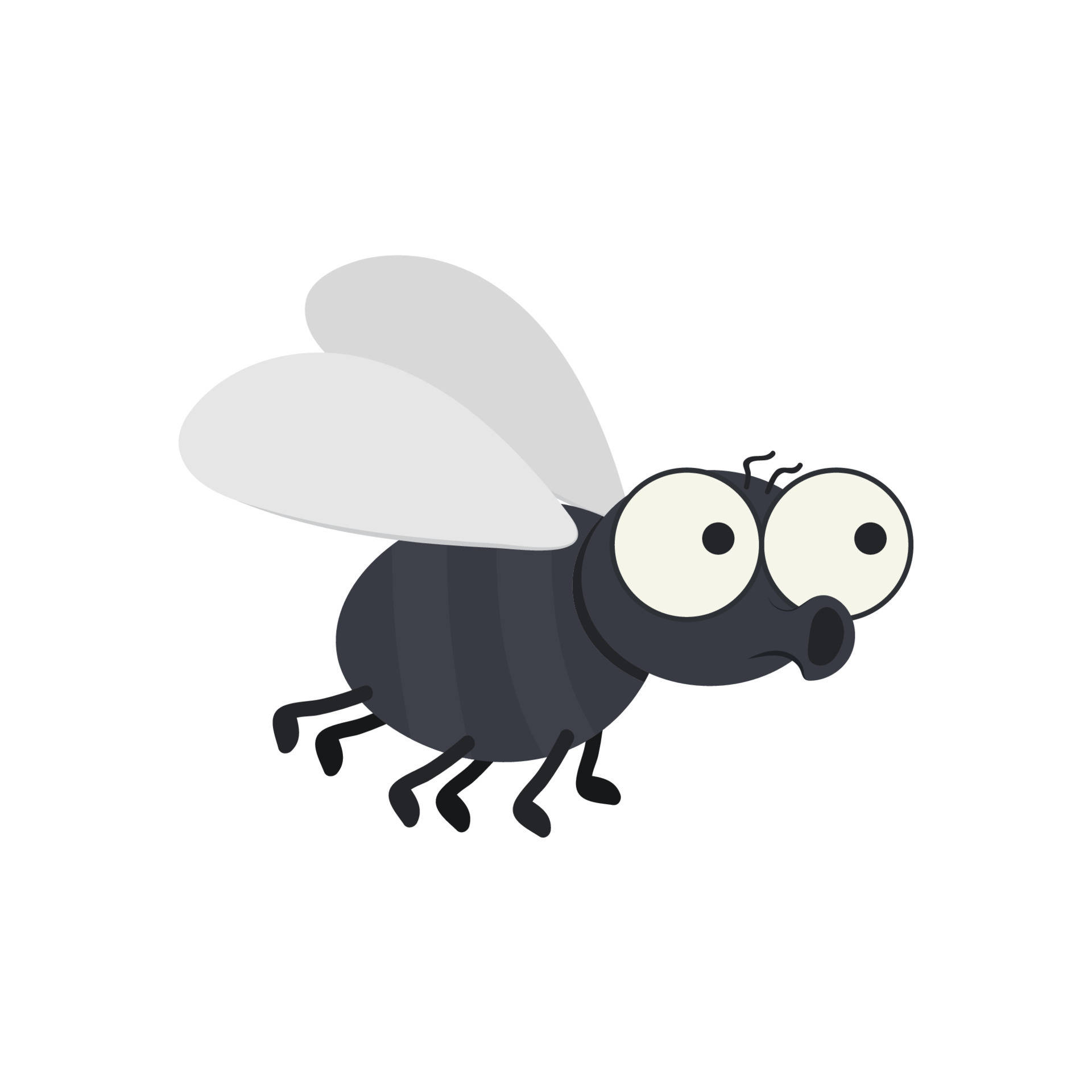 fly 桌布 壁紙 — 一隻卡通蒼蠅，有著超大的鬥雞眼和灰色翅膀，在純白色背景上飛翔。