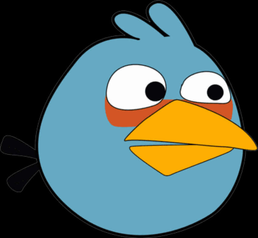 Angry Birds 桌布 壁紙 — 一隻卡通藍色小鳥，黃色喙和紅色臉頰，在黑色背景上睜大眼睛凝視。
